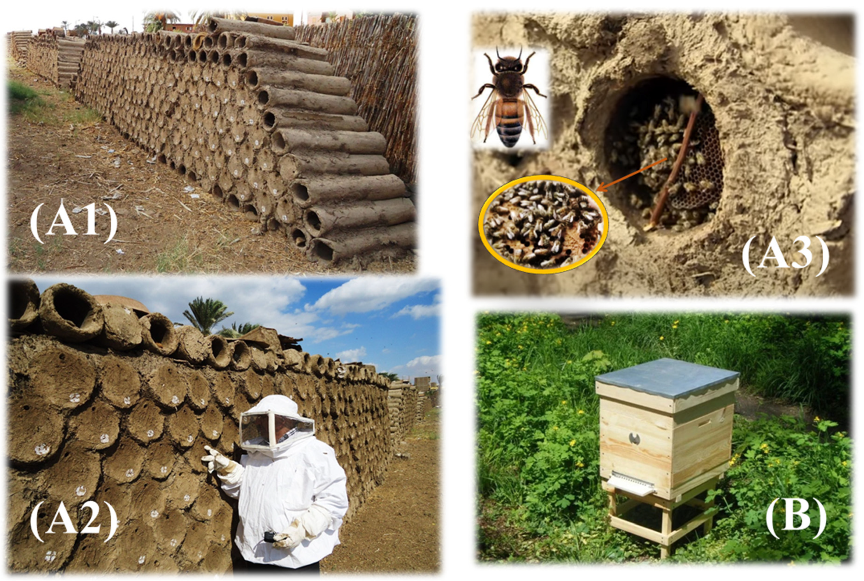 Animals 12 02749 g003 Animals 12 02749 g003