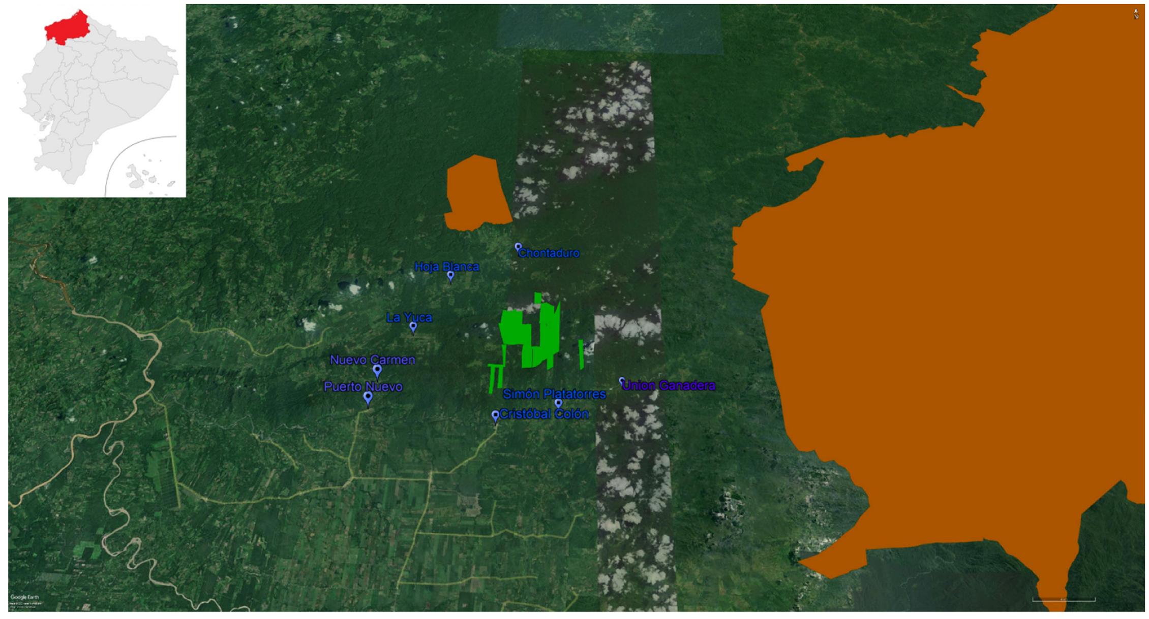 Animals 12 02750 g001 Animals 12 02750 g001