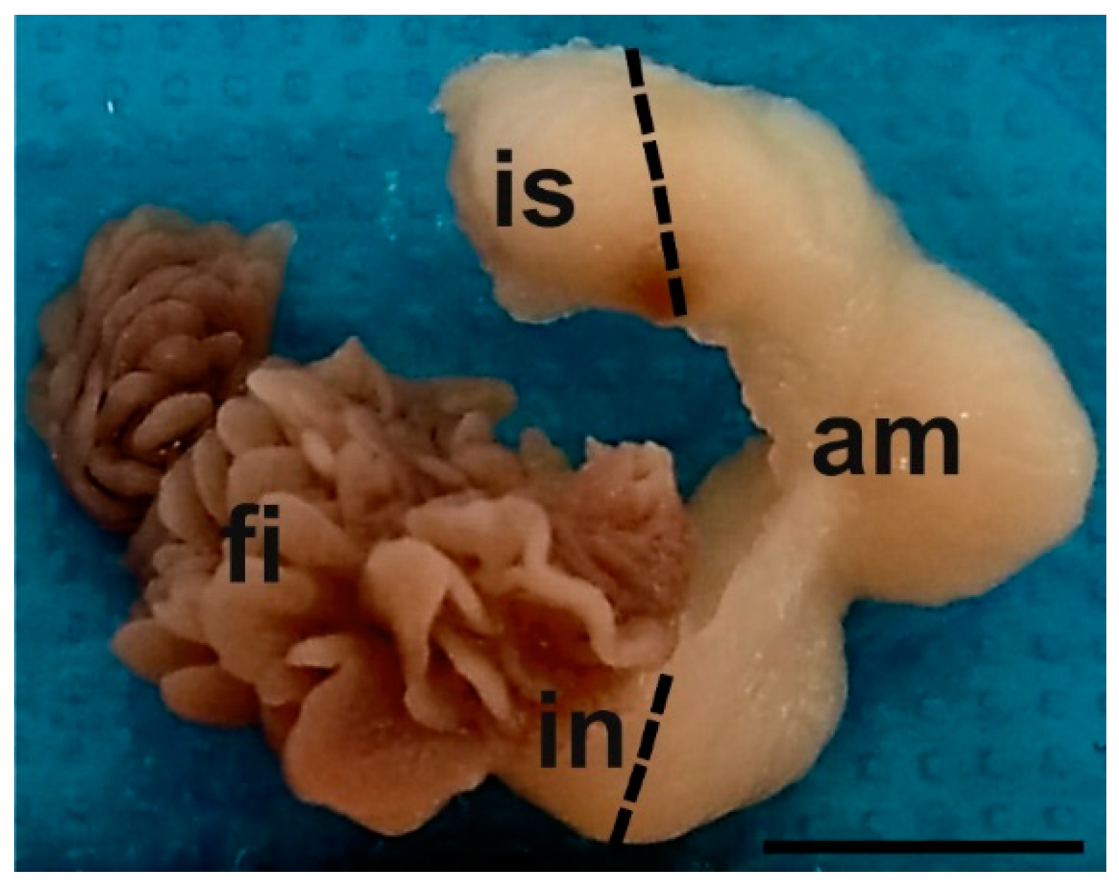 Animals 12 02769 g001