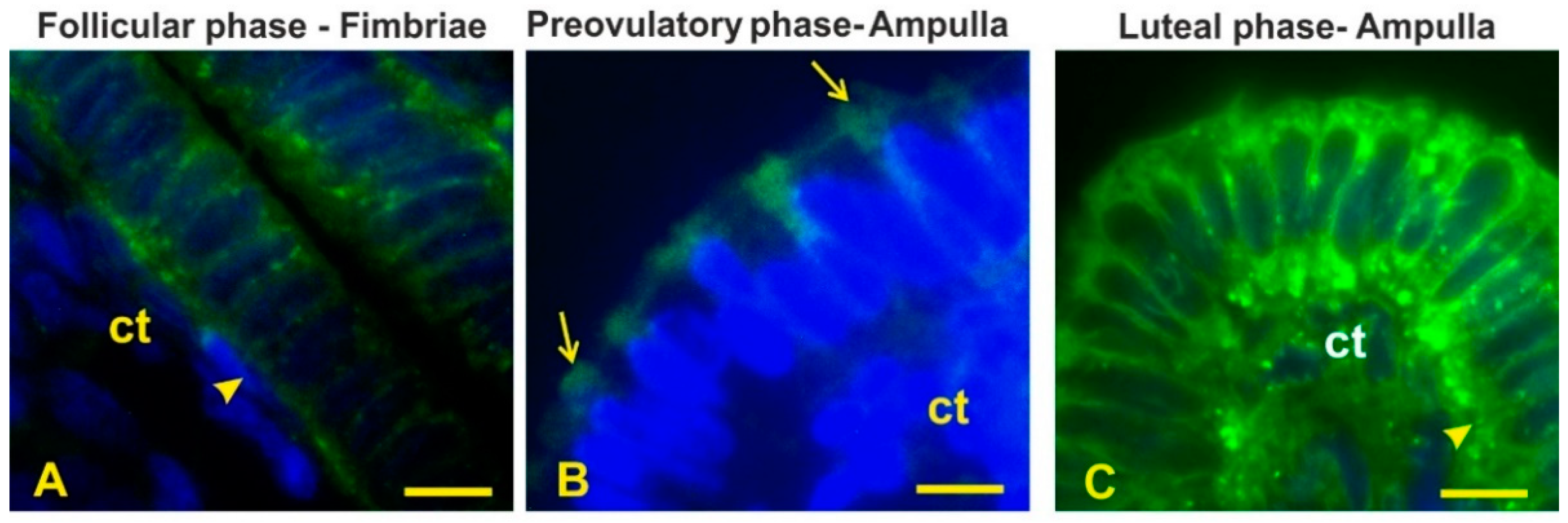 Animals 12 02769 g010