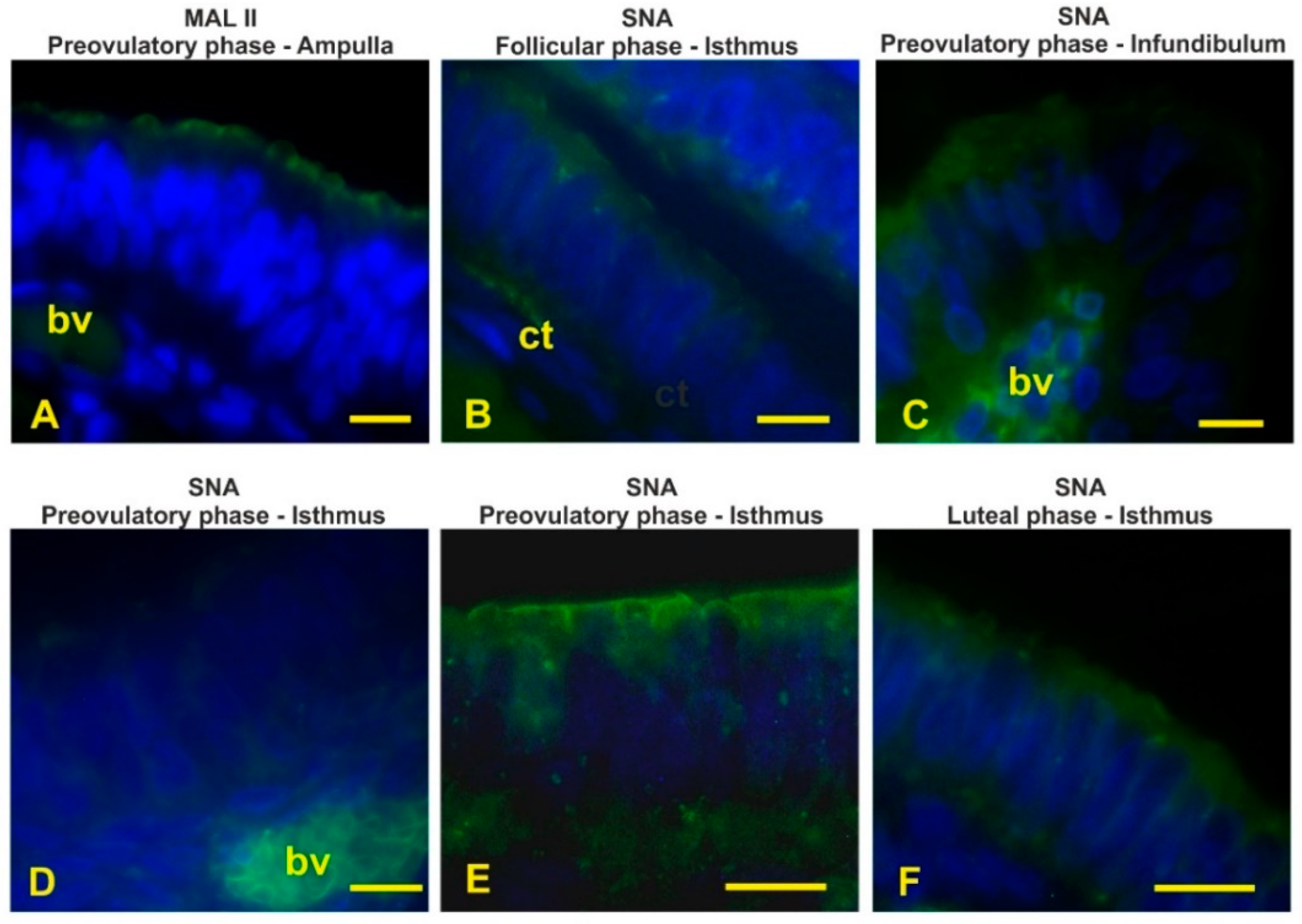 Animals 12 02769 g011