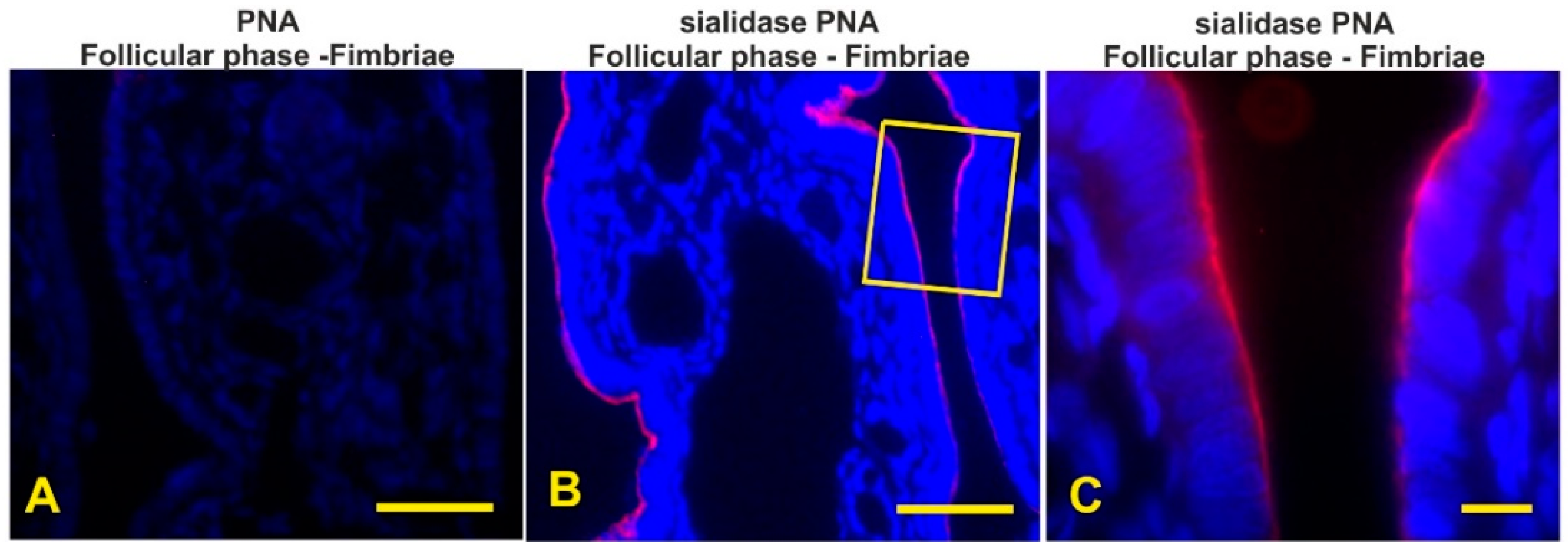 Animals 12 02769 g012a