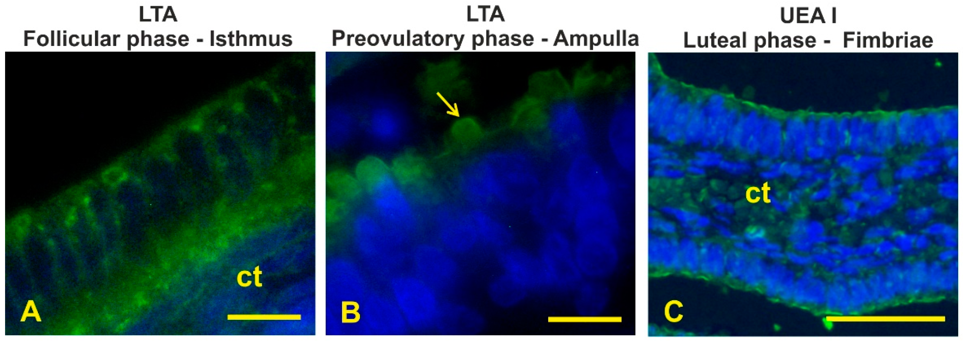 Animals 12 02769 g013