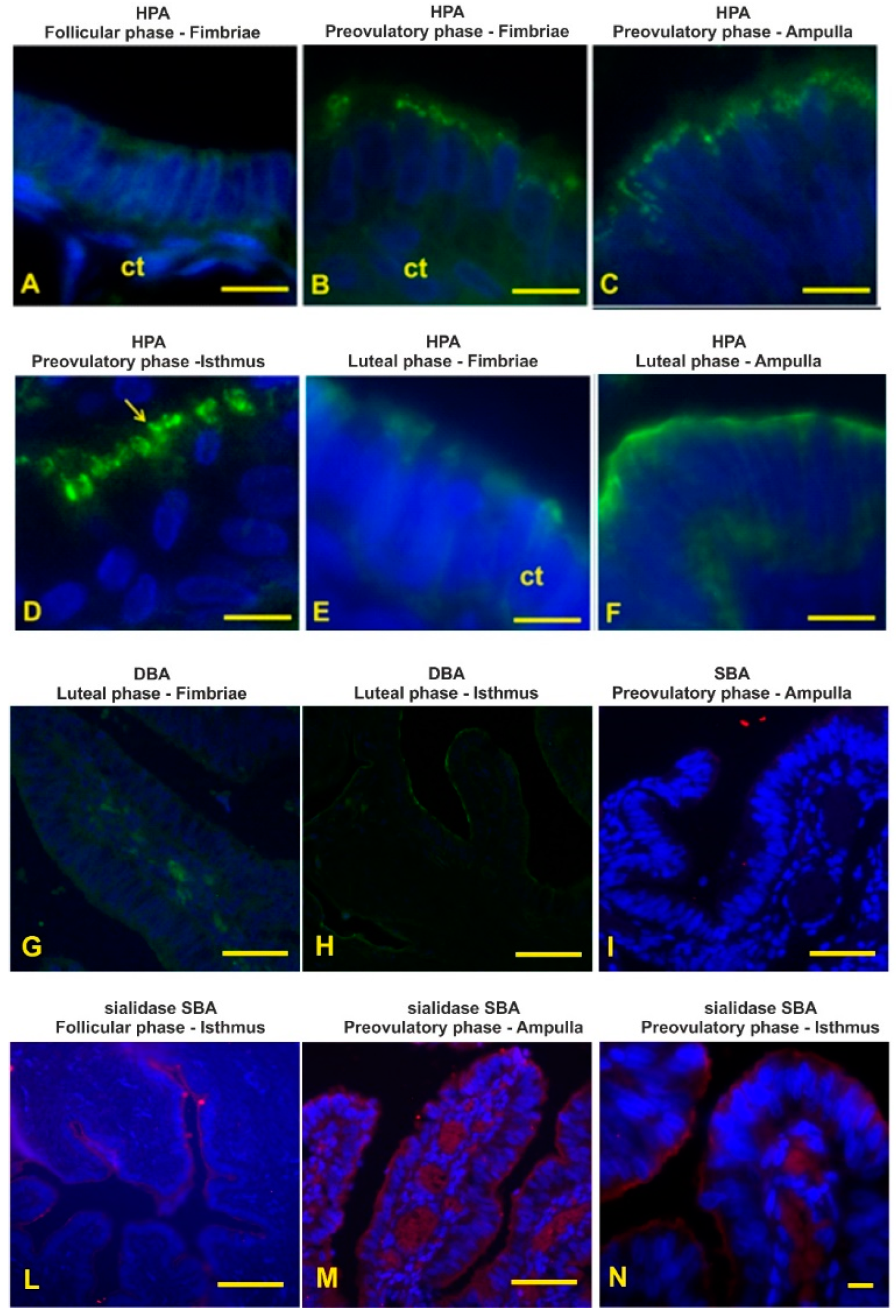 Animals 12 02769 g014