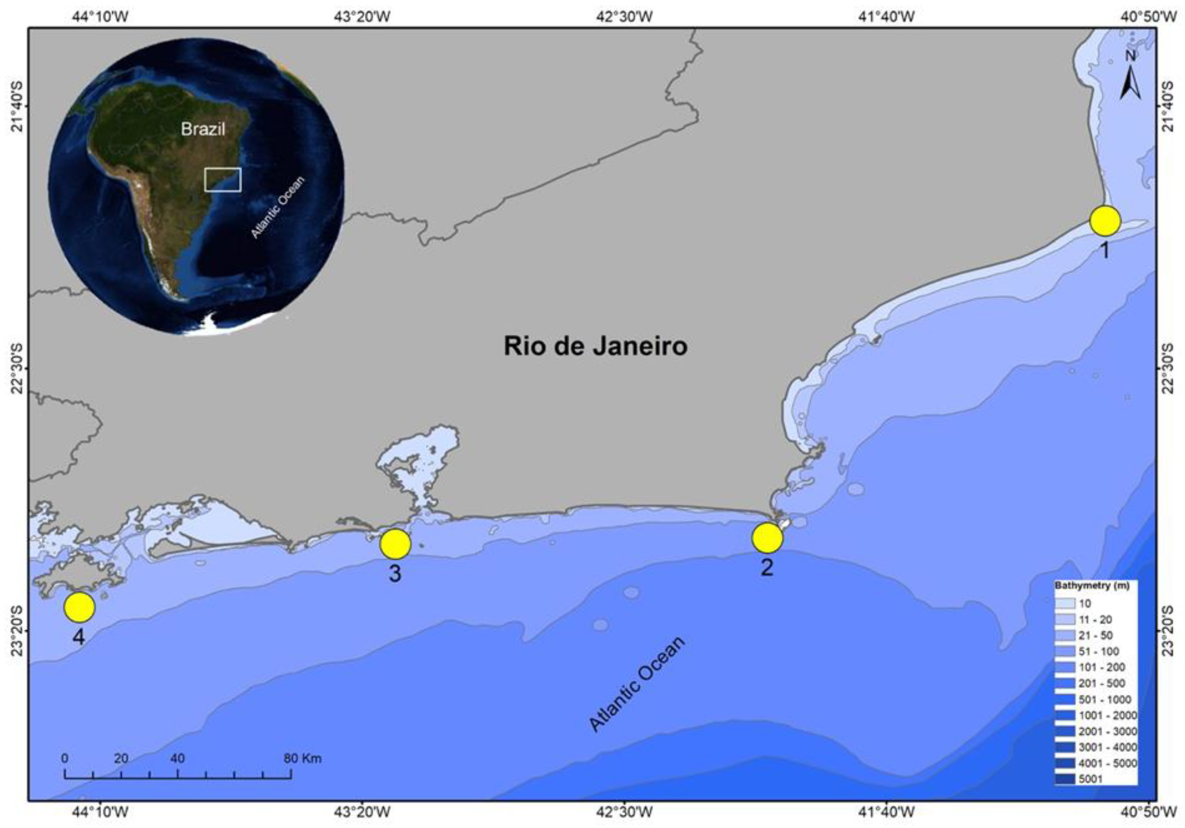 Animals 12 02774 g001 Animals 12 02774 g001