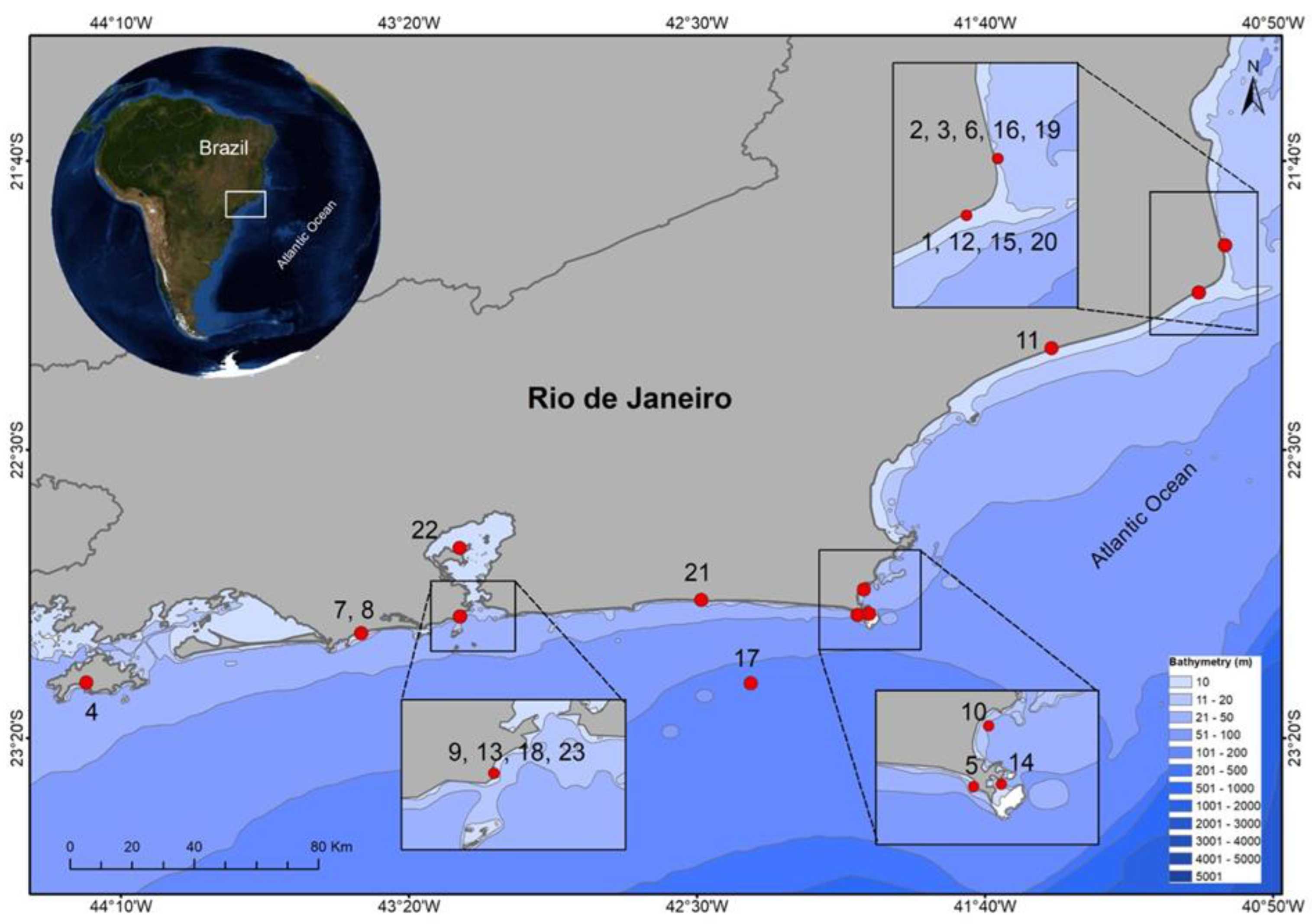 Animals 12 02774 g002 Animals 12 02774 g002