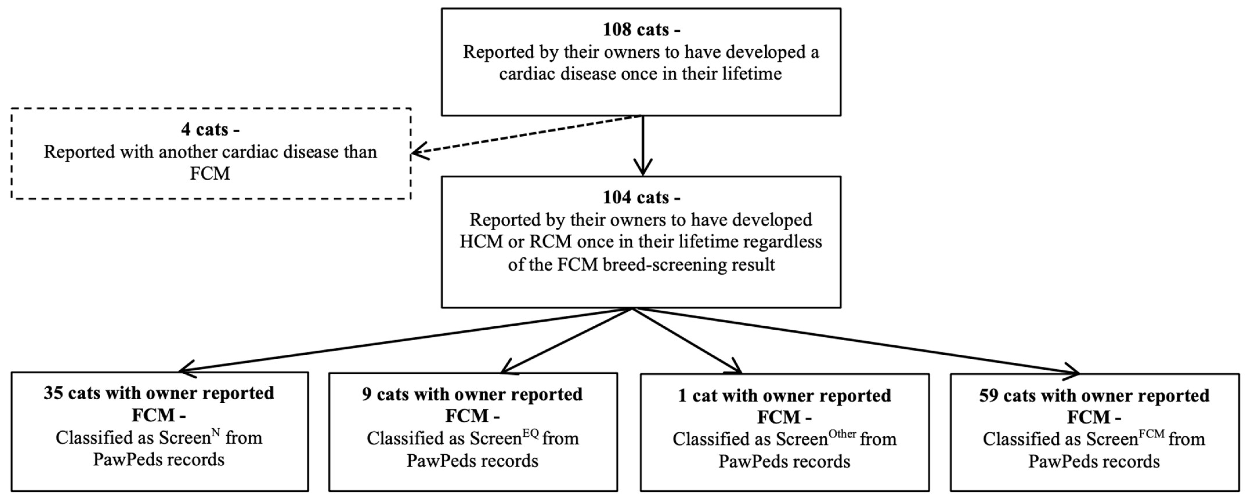 Animals 12 02782 g002