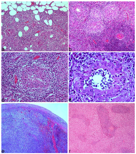 Animals 12 02784 g002