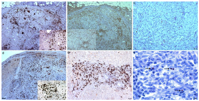 Animals 12 02784 g003