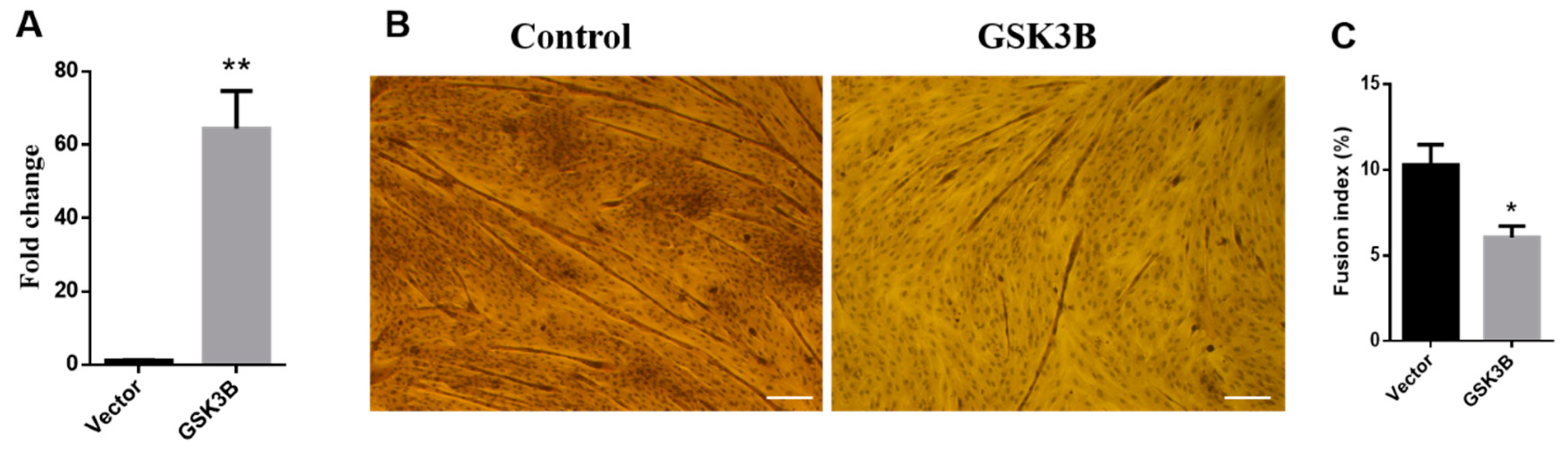 Animals 12 02789 g001 Animals 12 02789 g001