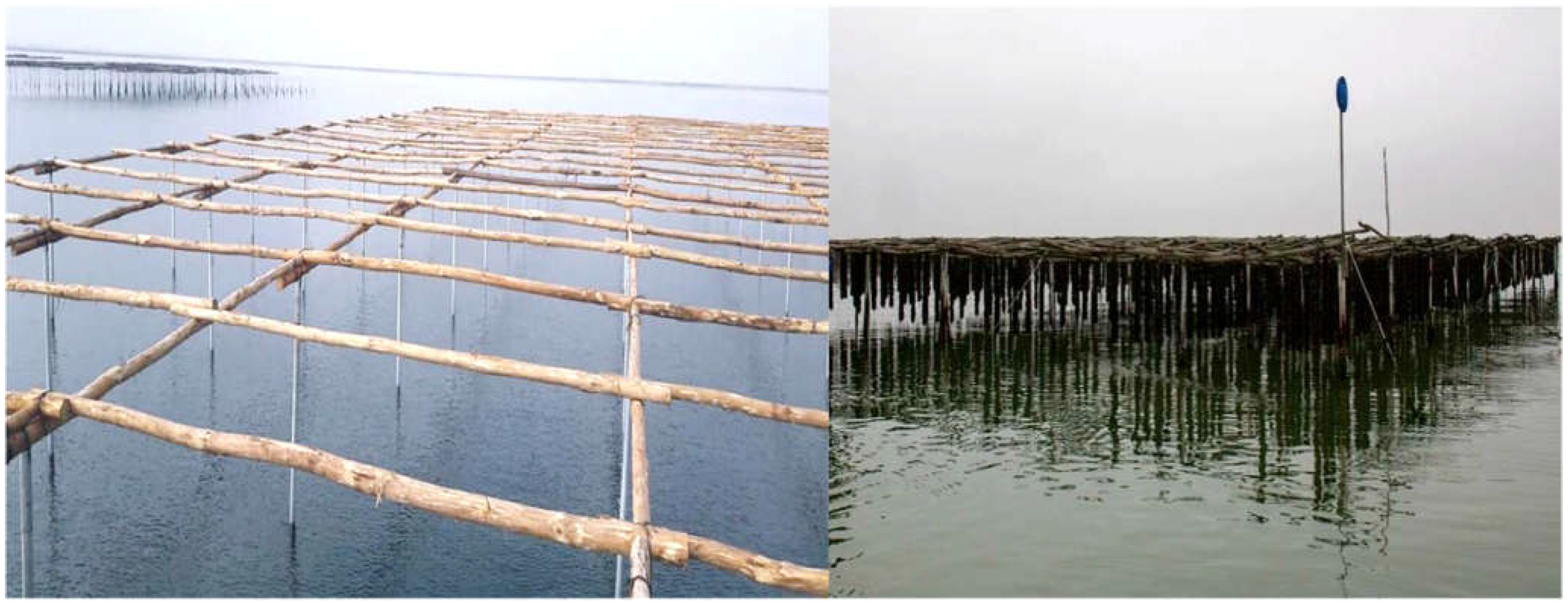 Animals 12 02805 g001