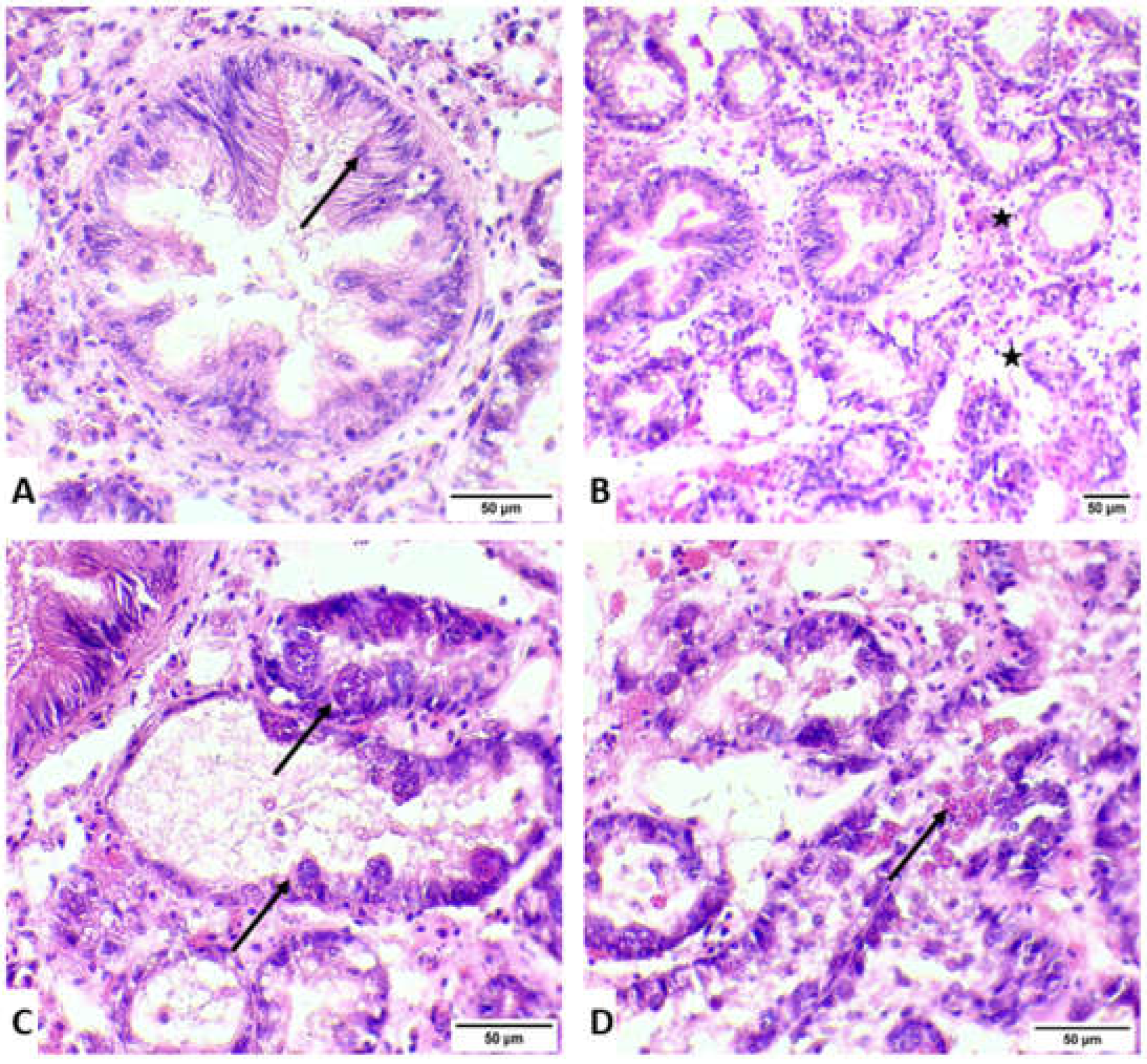 Animals 12 02805 g004