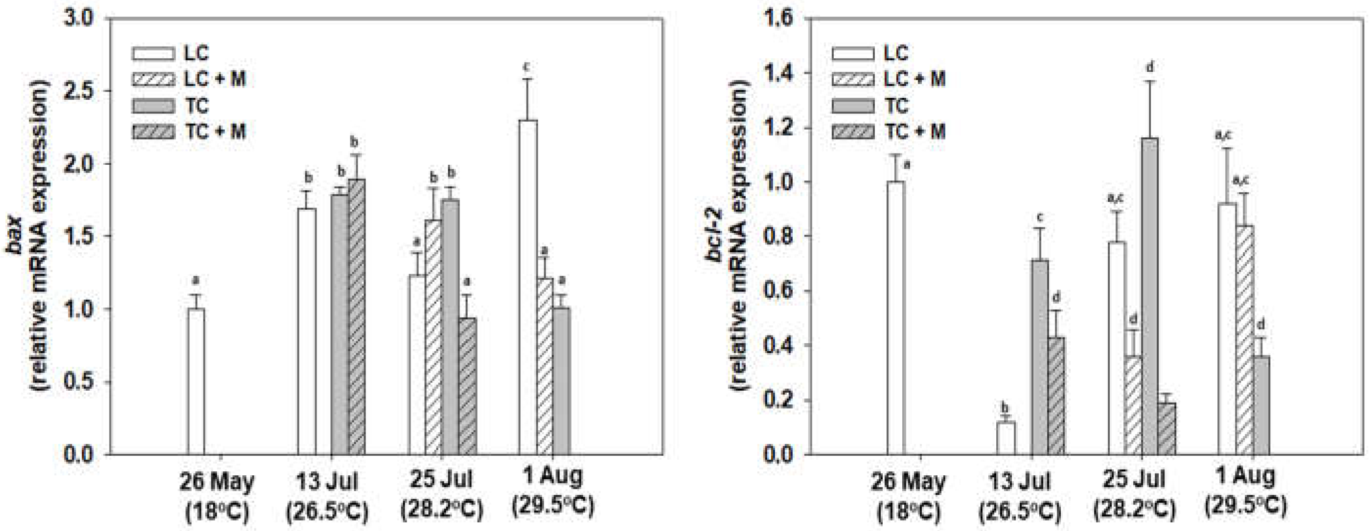Animals 12 02805 g008