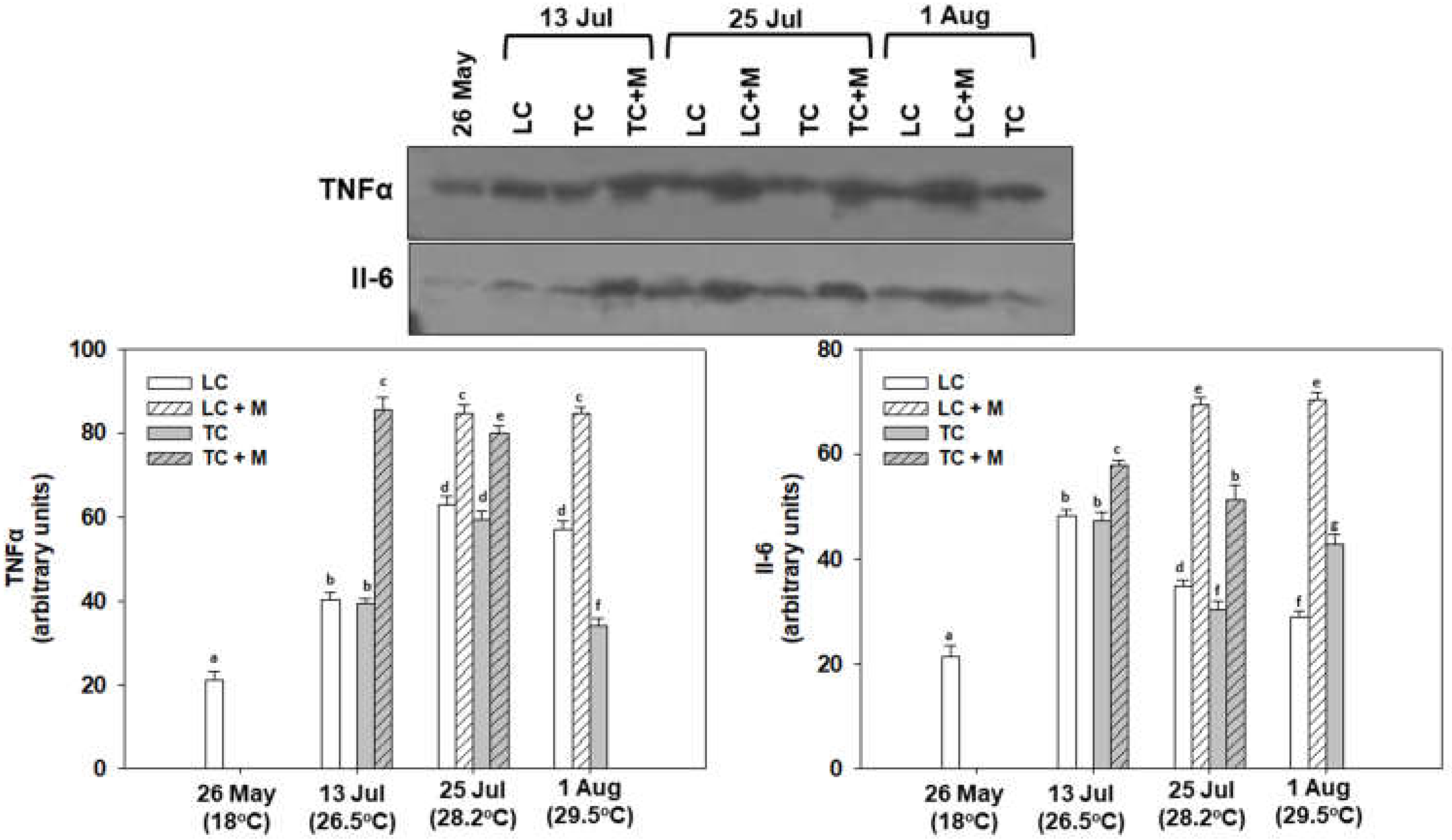 Animals 12 02805 g011