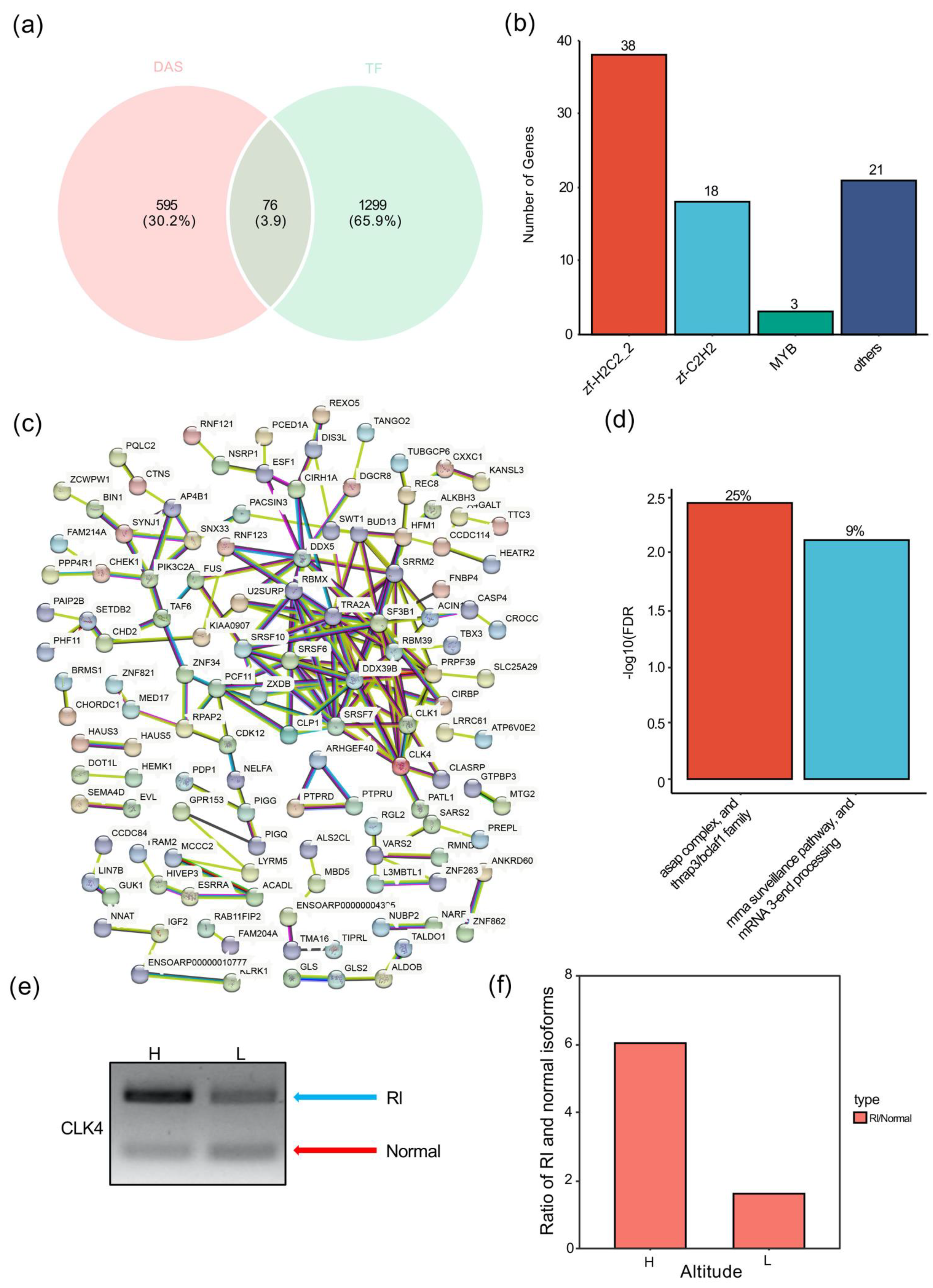 Animals 12 02812 g004 Animals 12 02812 g004