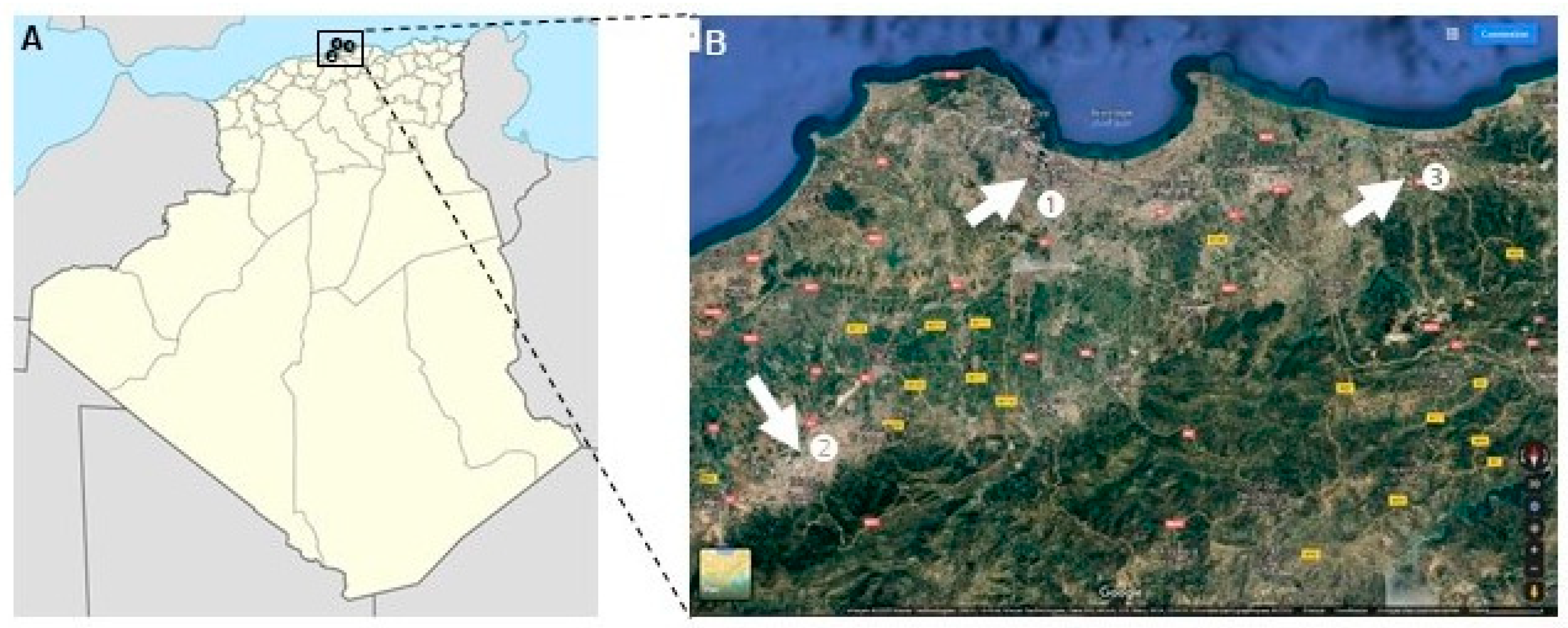 Animals 12 02813 g001