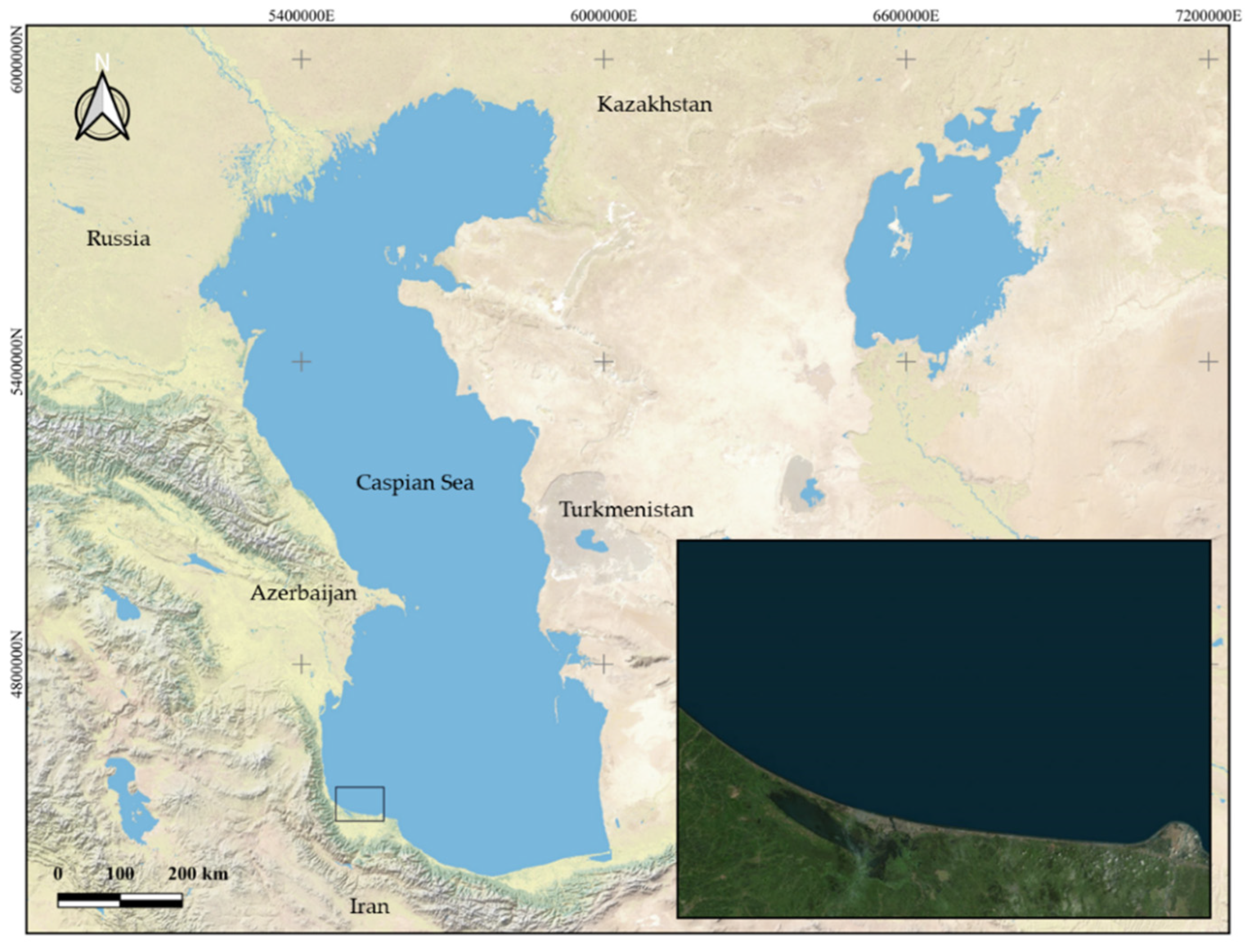 Animals 12 02819 g001 Animals 12 02819 g001