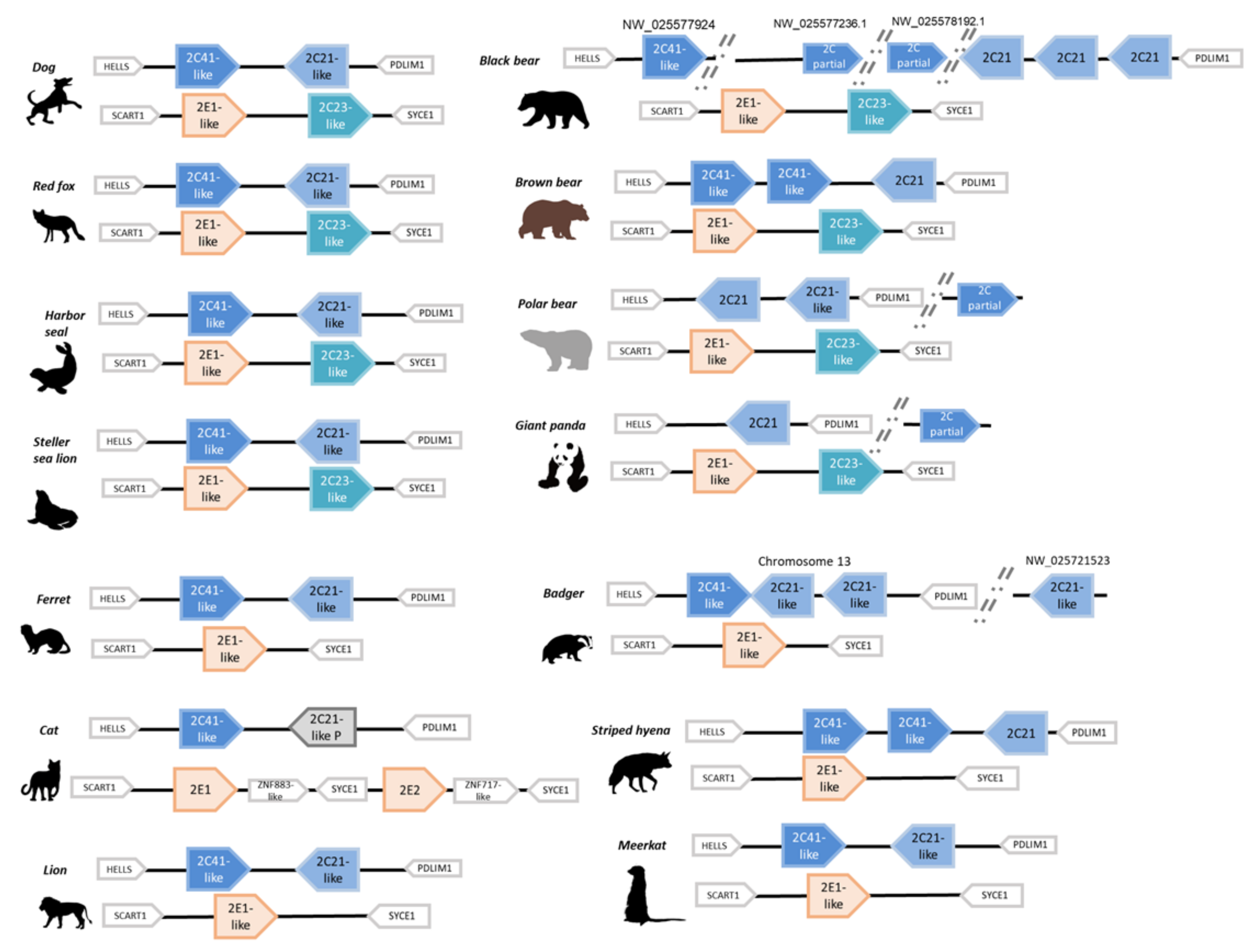 Animals 12 02821 g002 Animals 12 02821 g002