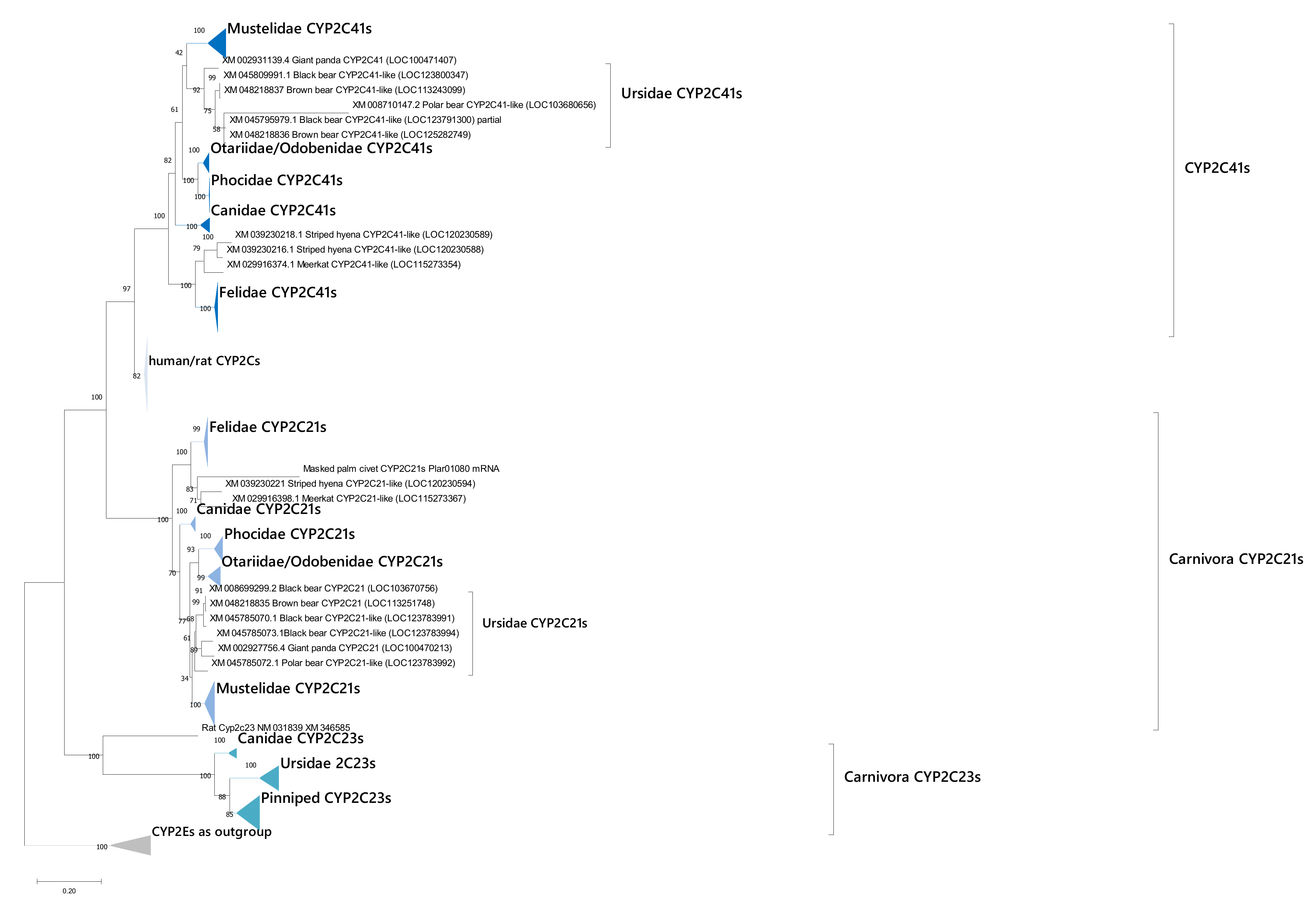 Animals 12 02821 g004 Animals 12 02821 g004