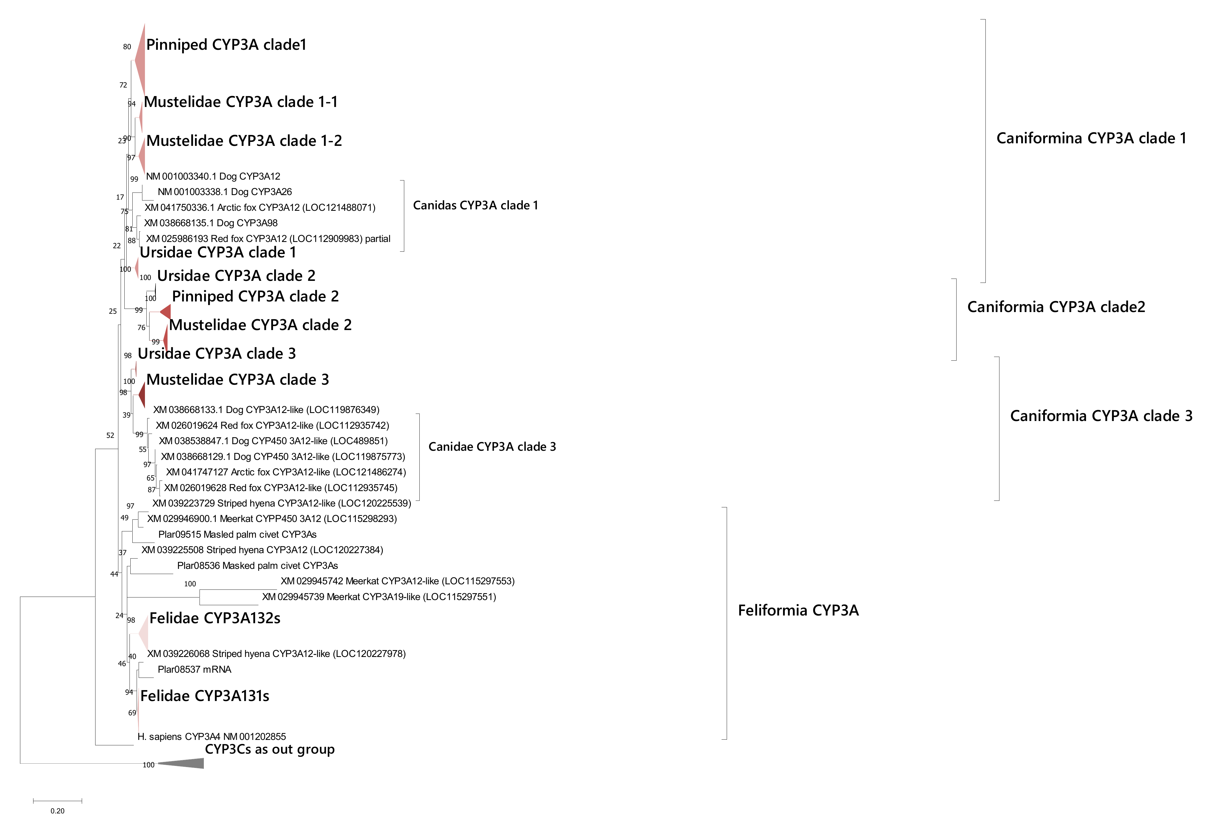 Animals 12 02821 g005 Animals 12 02821 g005