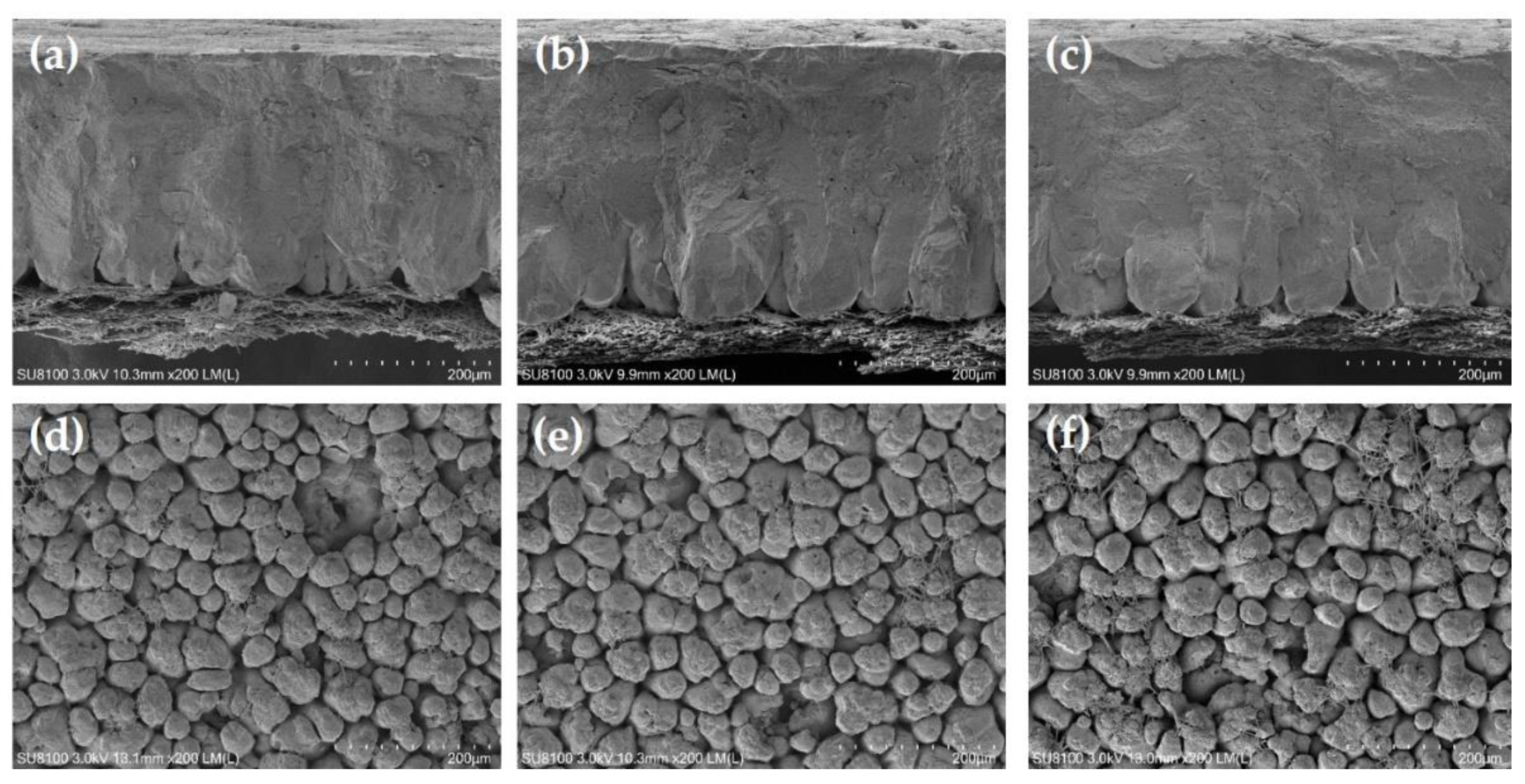 Animals 12 02824 g001 Animals 12 02824 g001