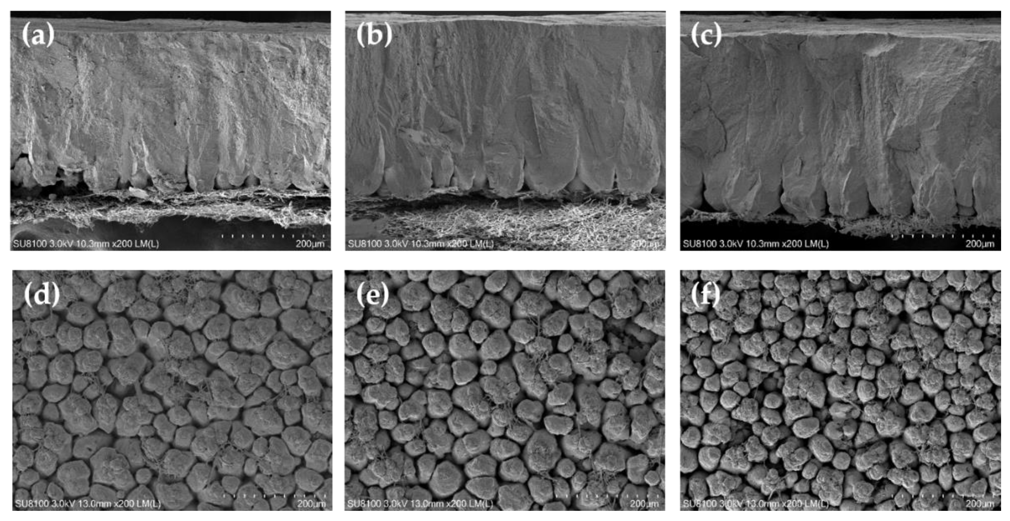 Animals 12 02824 g003 Animals 12 02824 g003