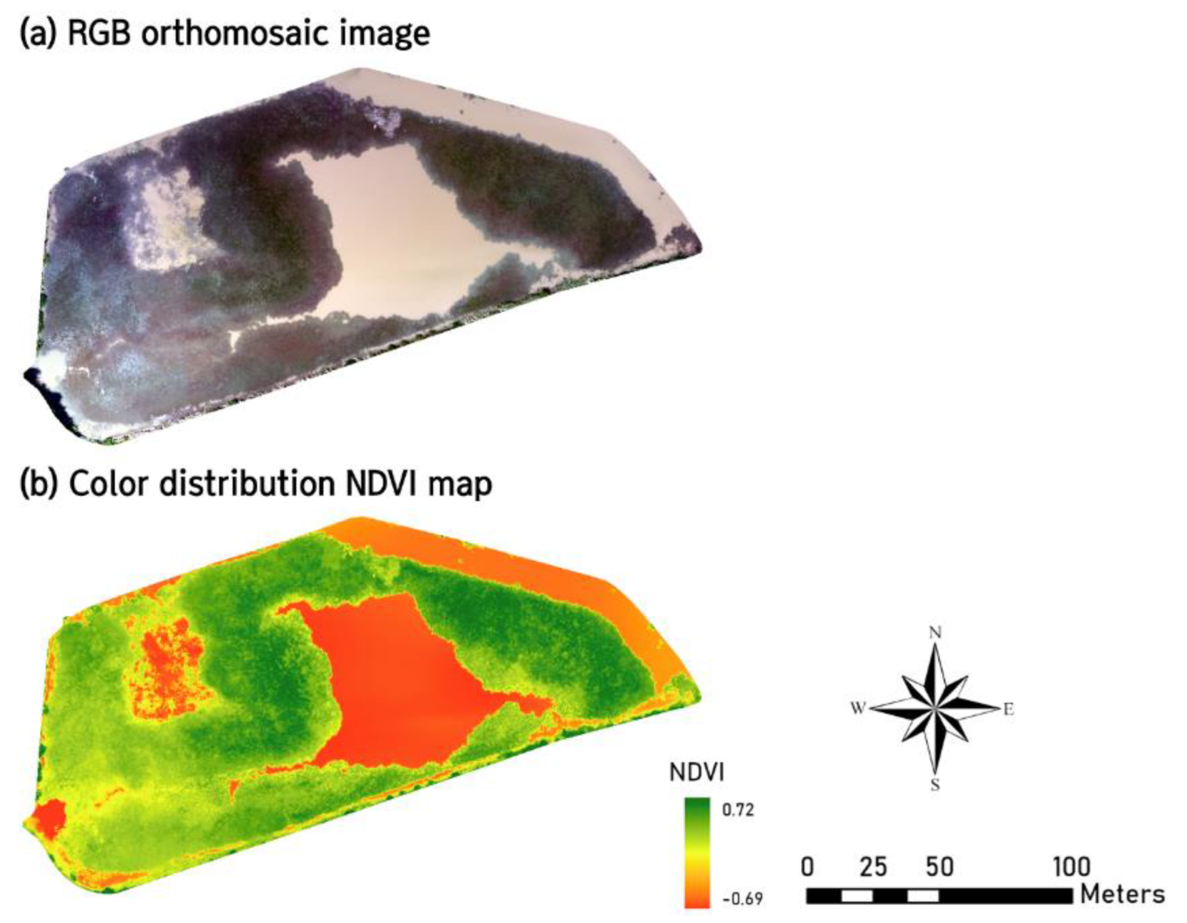 Animals 12 02827 g002