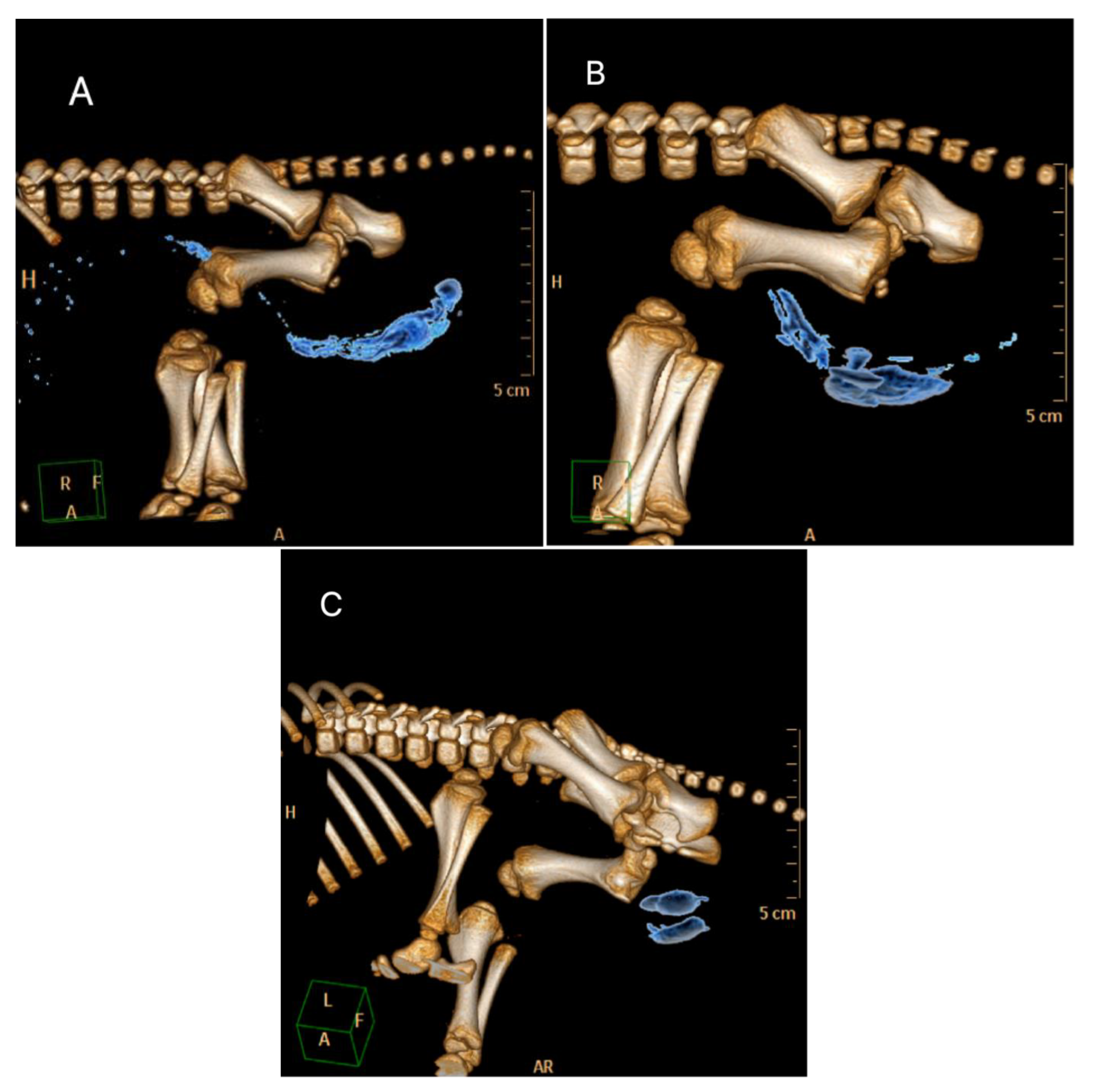 Animals 12 02833 g002 Animals 12 02833 g002