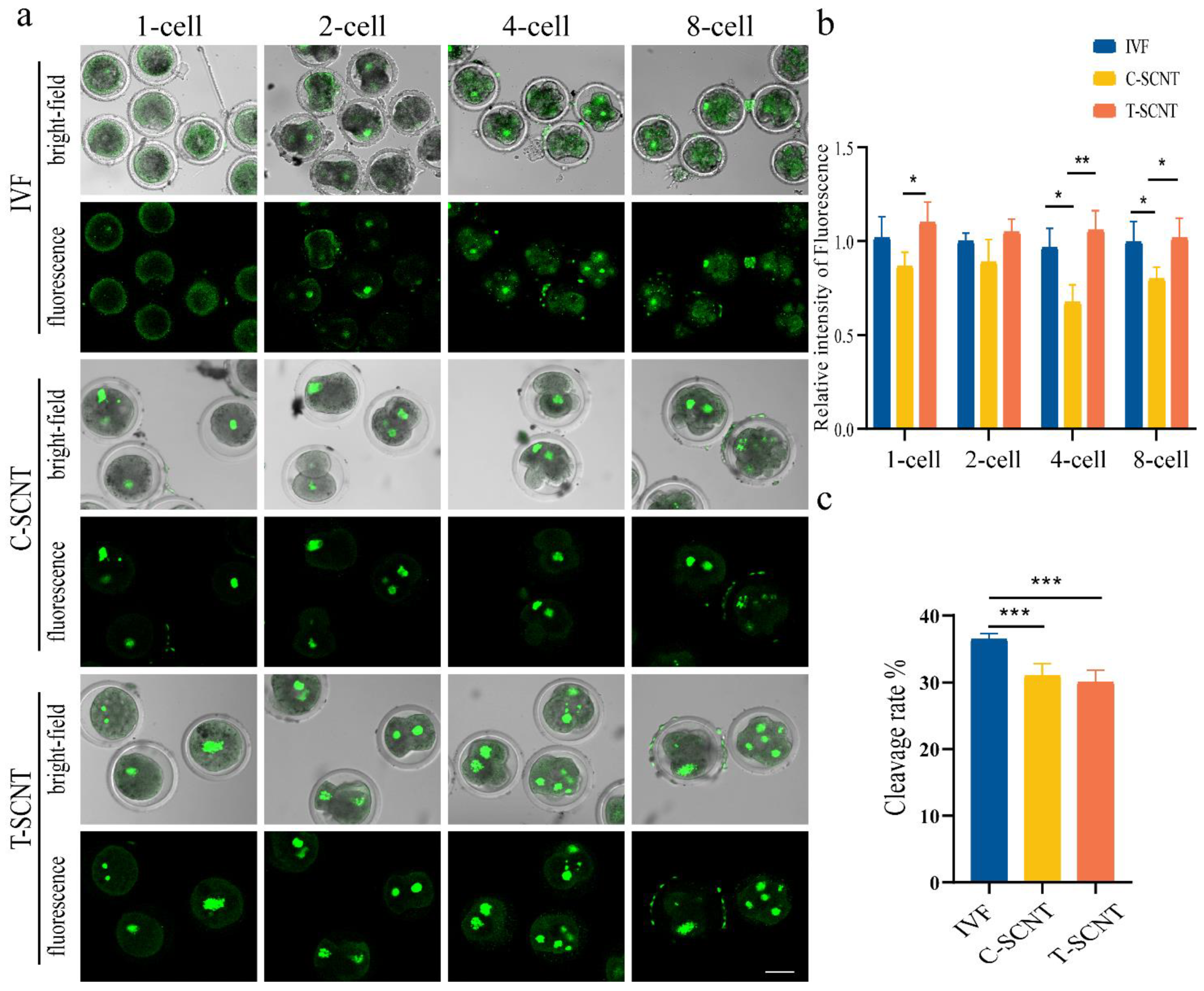 Animals 12 02848 g006 Animals 12 02848 g006
