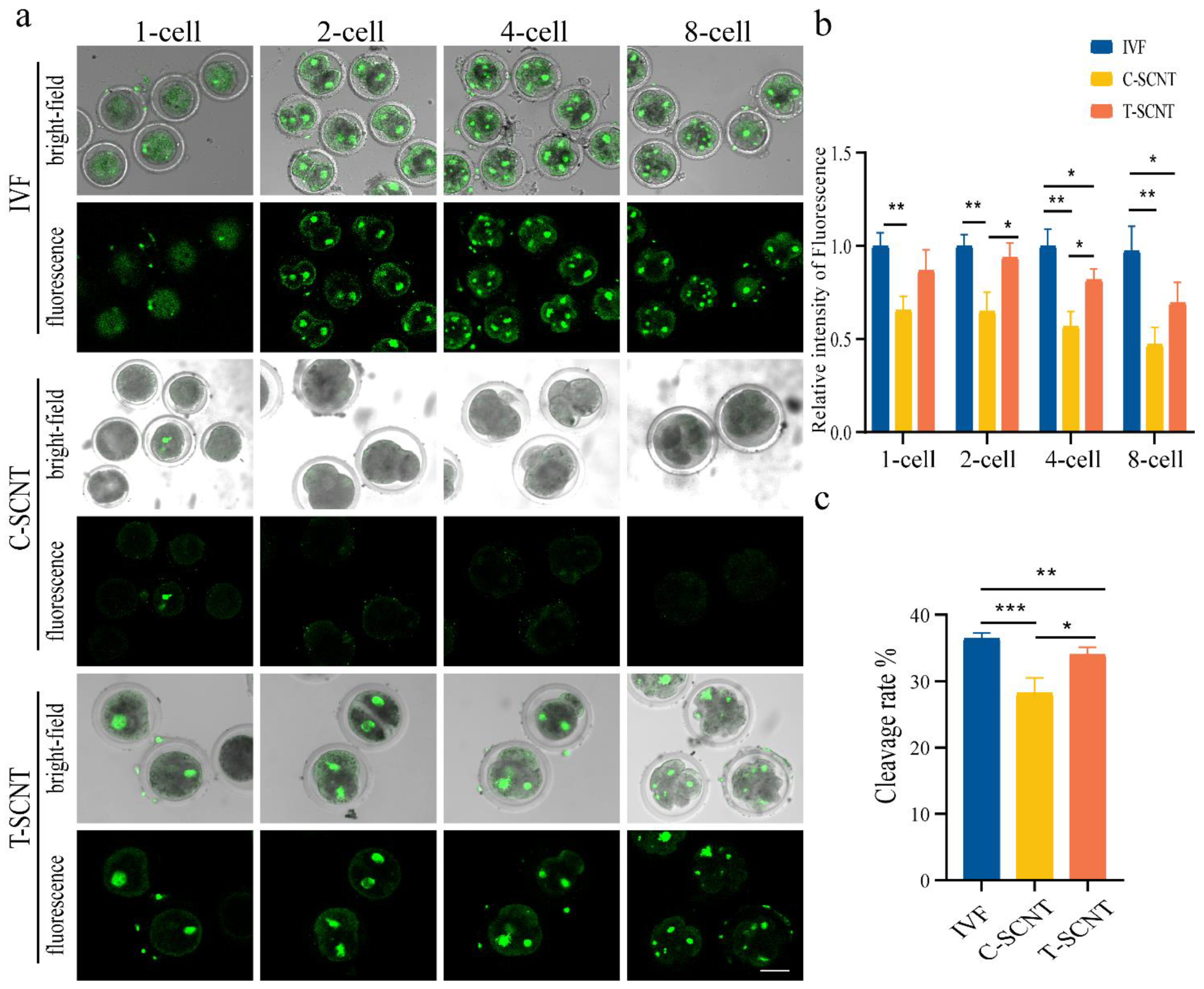 Animals 12 02848 g007 Animals 12 02848 g007
