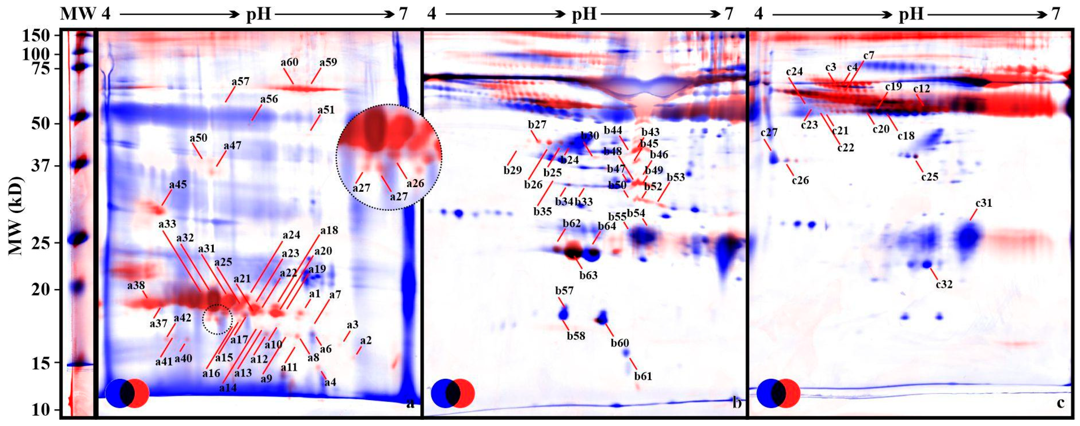 Animals 12 02850 g001 Animals 12 02850 g001
