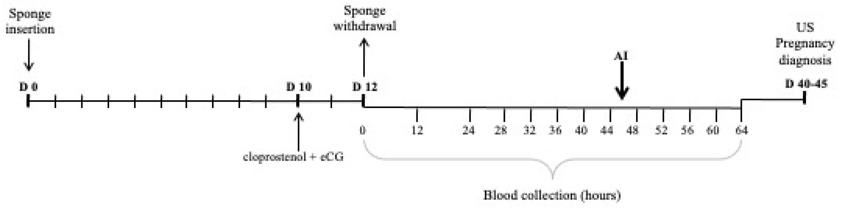 Animals 12 02853 g001