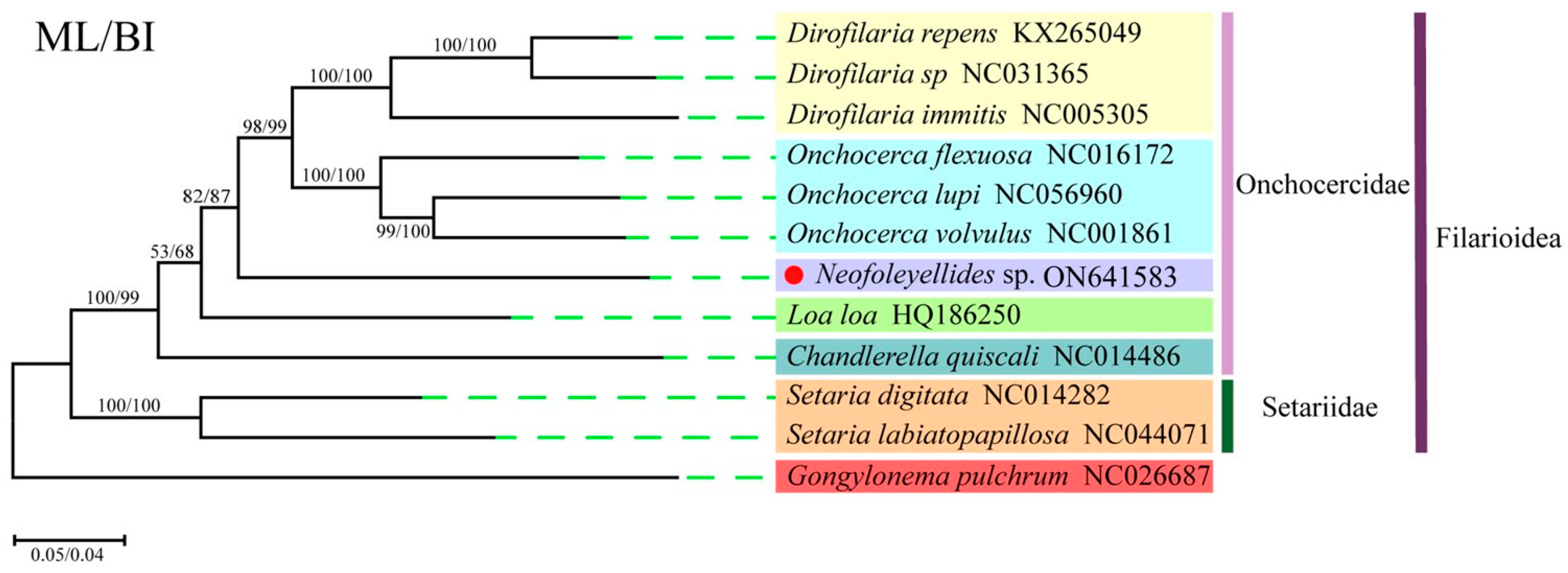 Animals 12 02854 g006