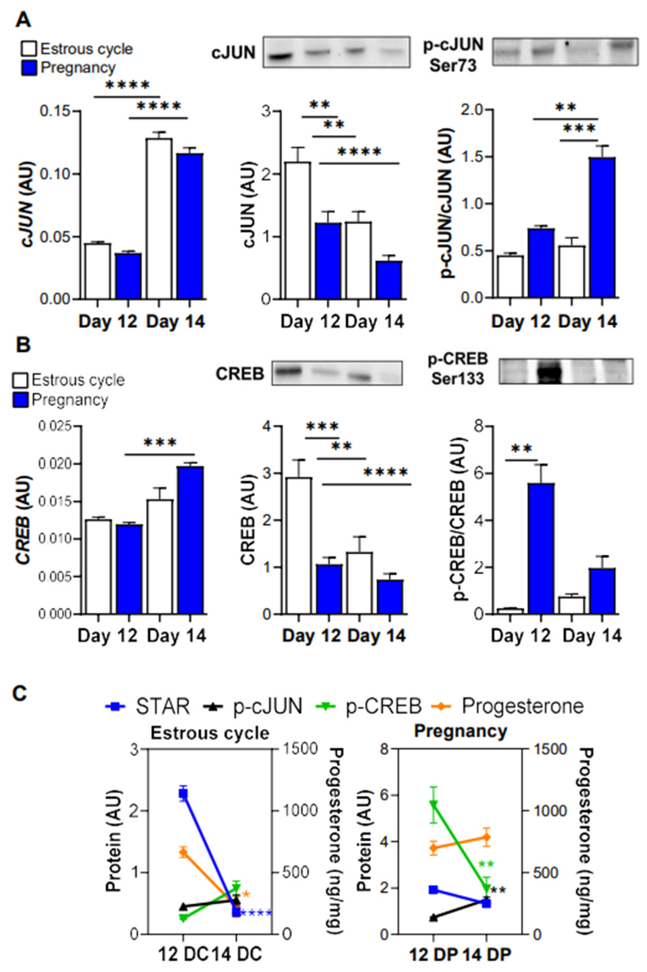 Animals 12 02855 g004 Animals 12 02855 g004
