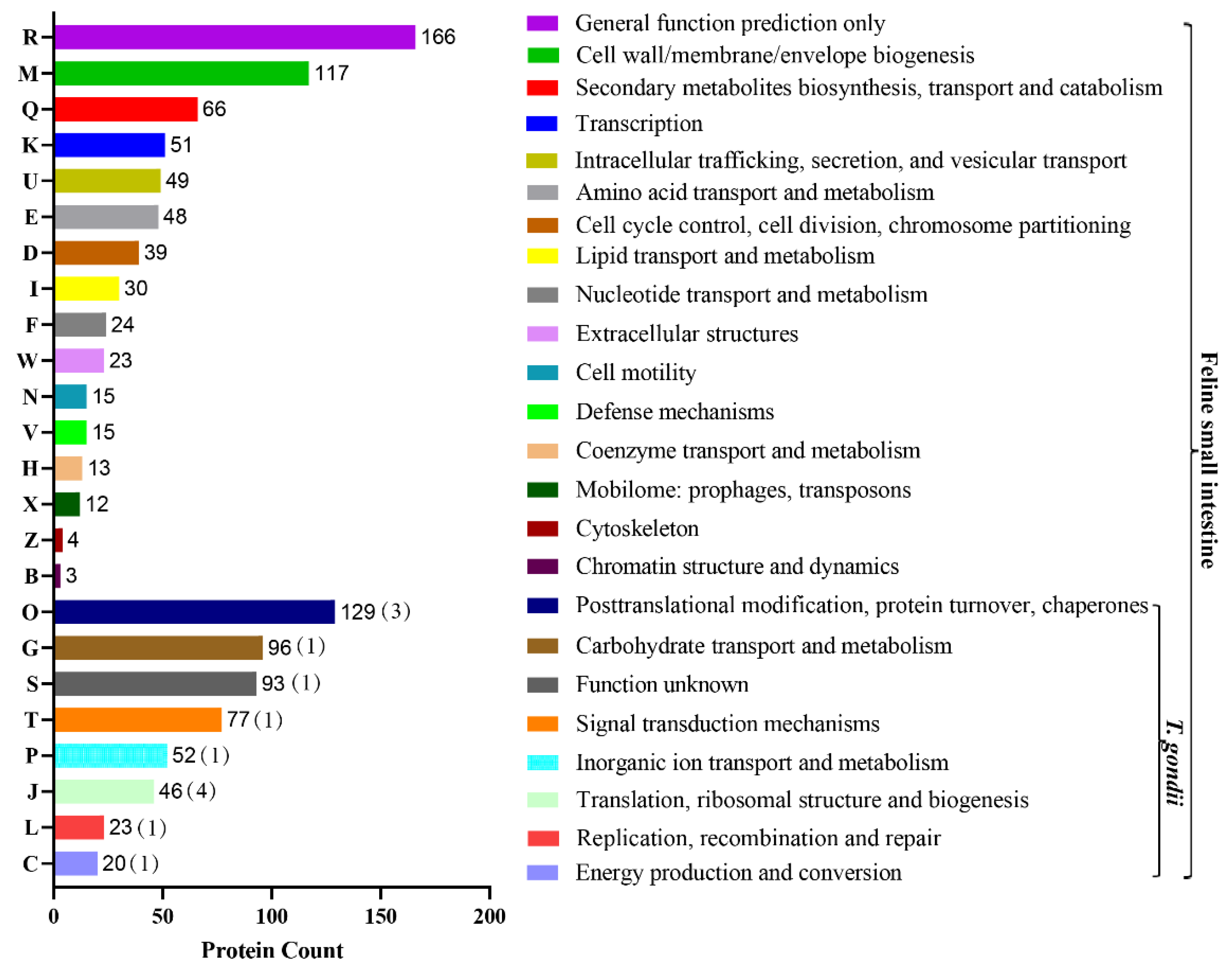 Animals 12 02858 g004