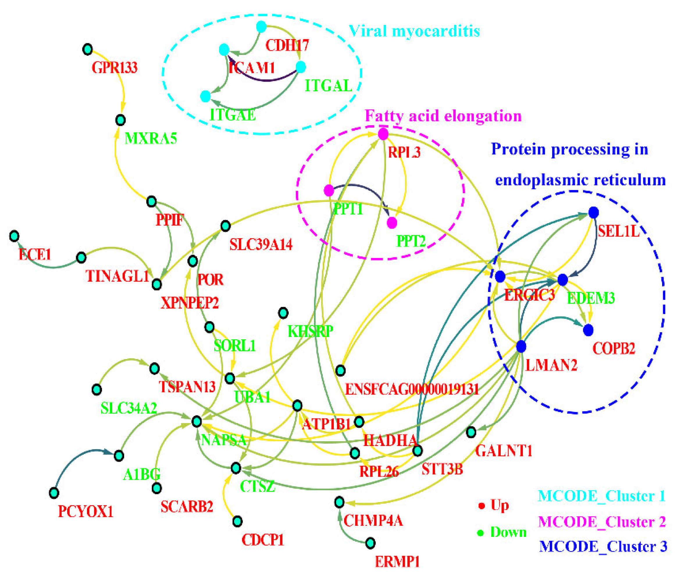 Animals 12 02858 g007