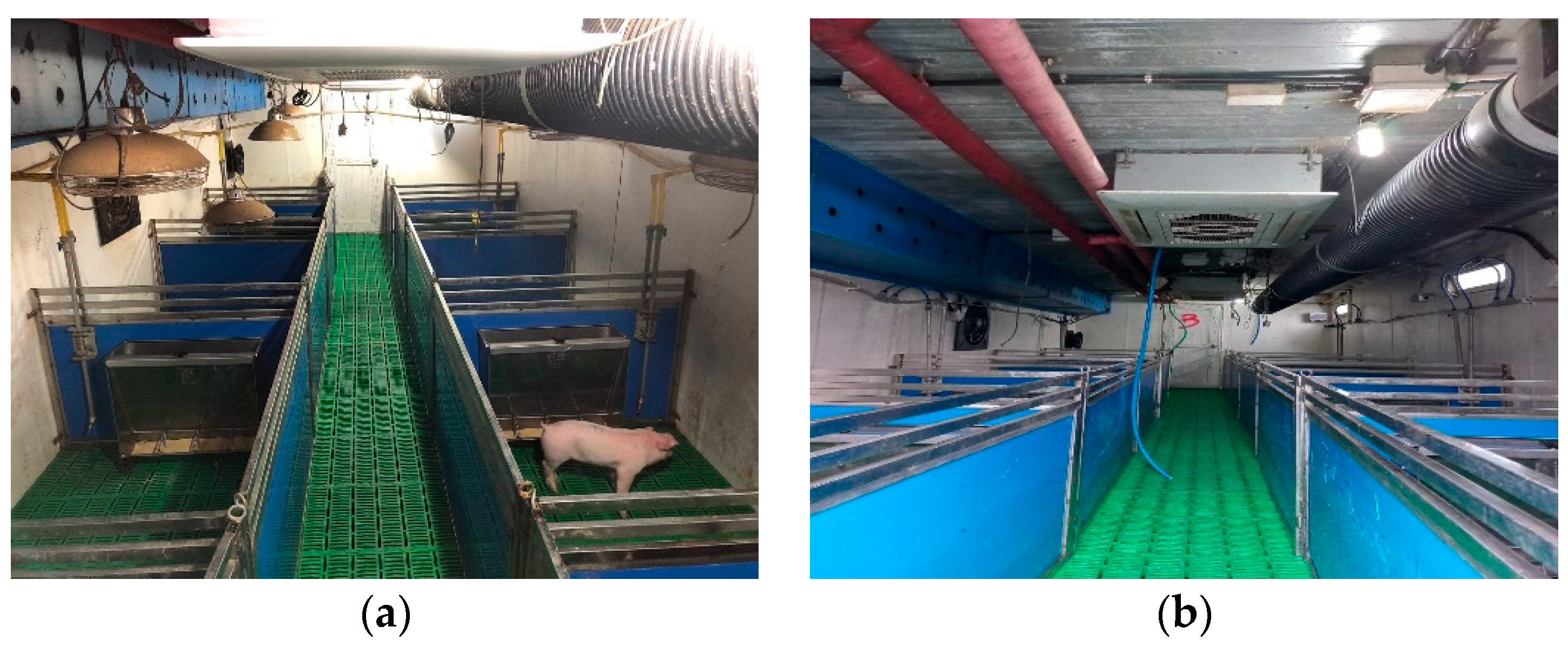 Animals 12 02860 g001 Animals 12 02860 g001