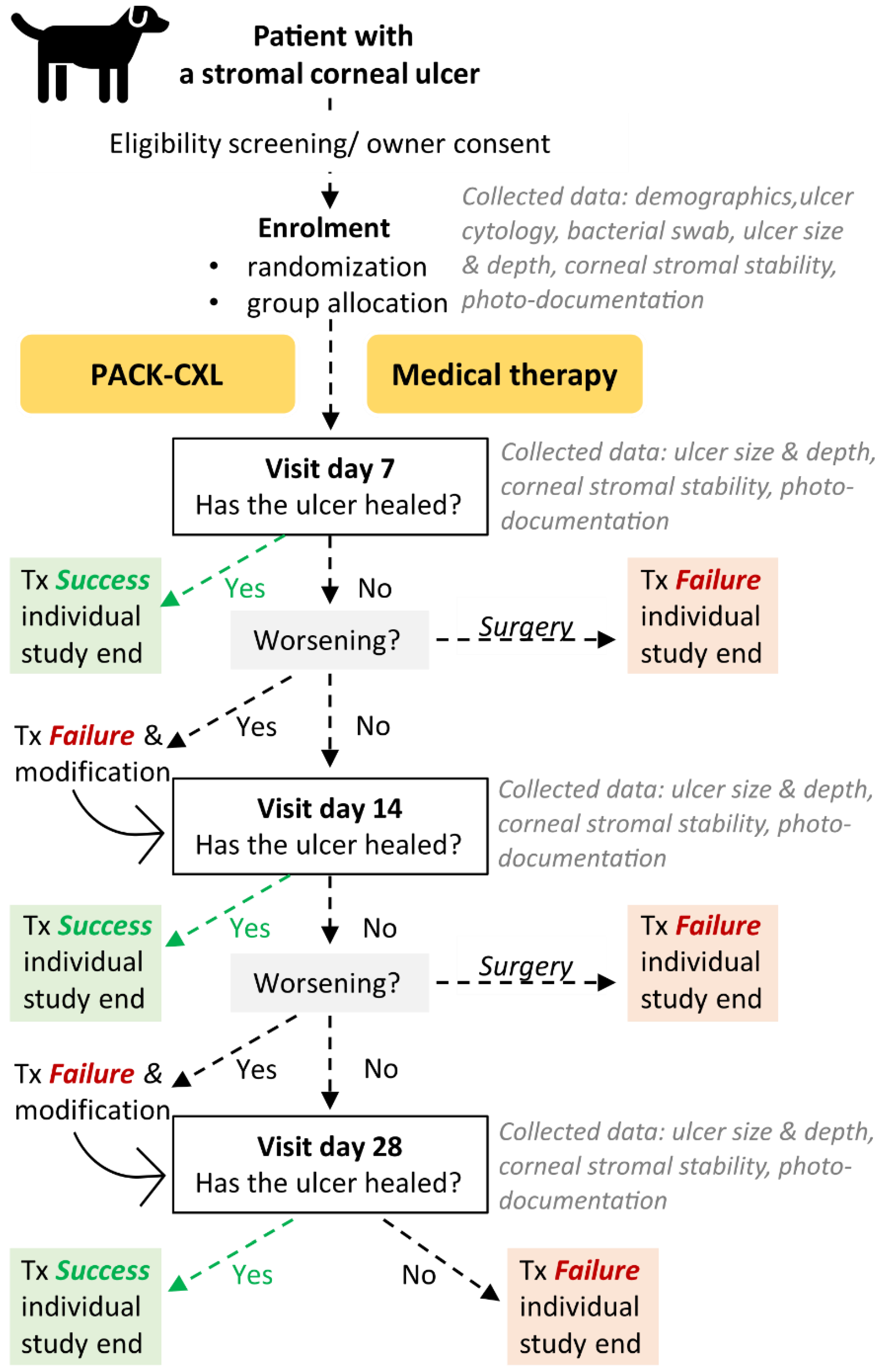 Animals 12 02862 g001