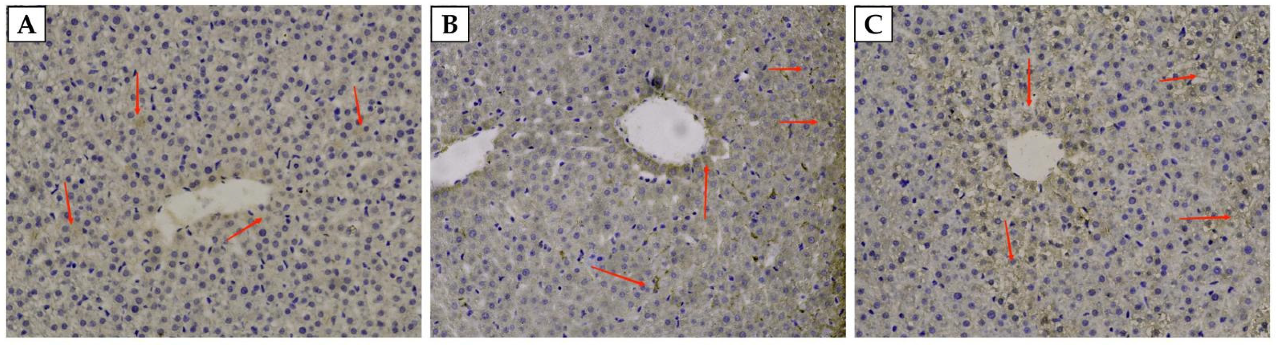 Animals 12 02869 g002 Animals 12 02869 g002