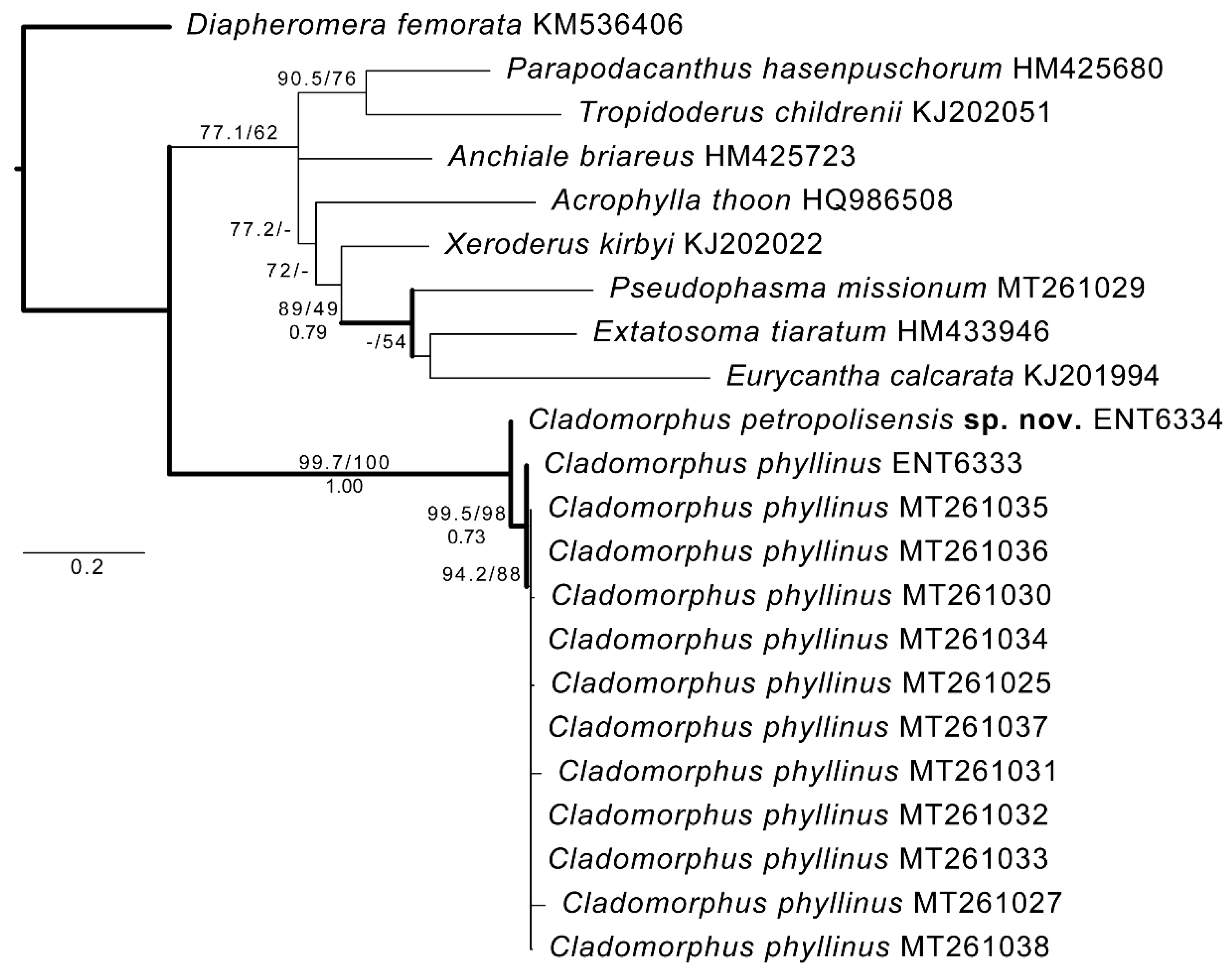 Animals 12 02871 g001 Animals 12 02871 g001