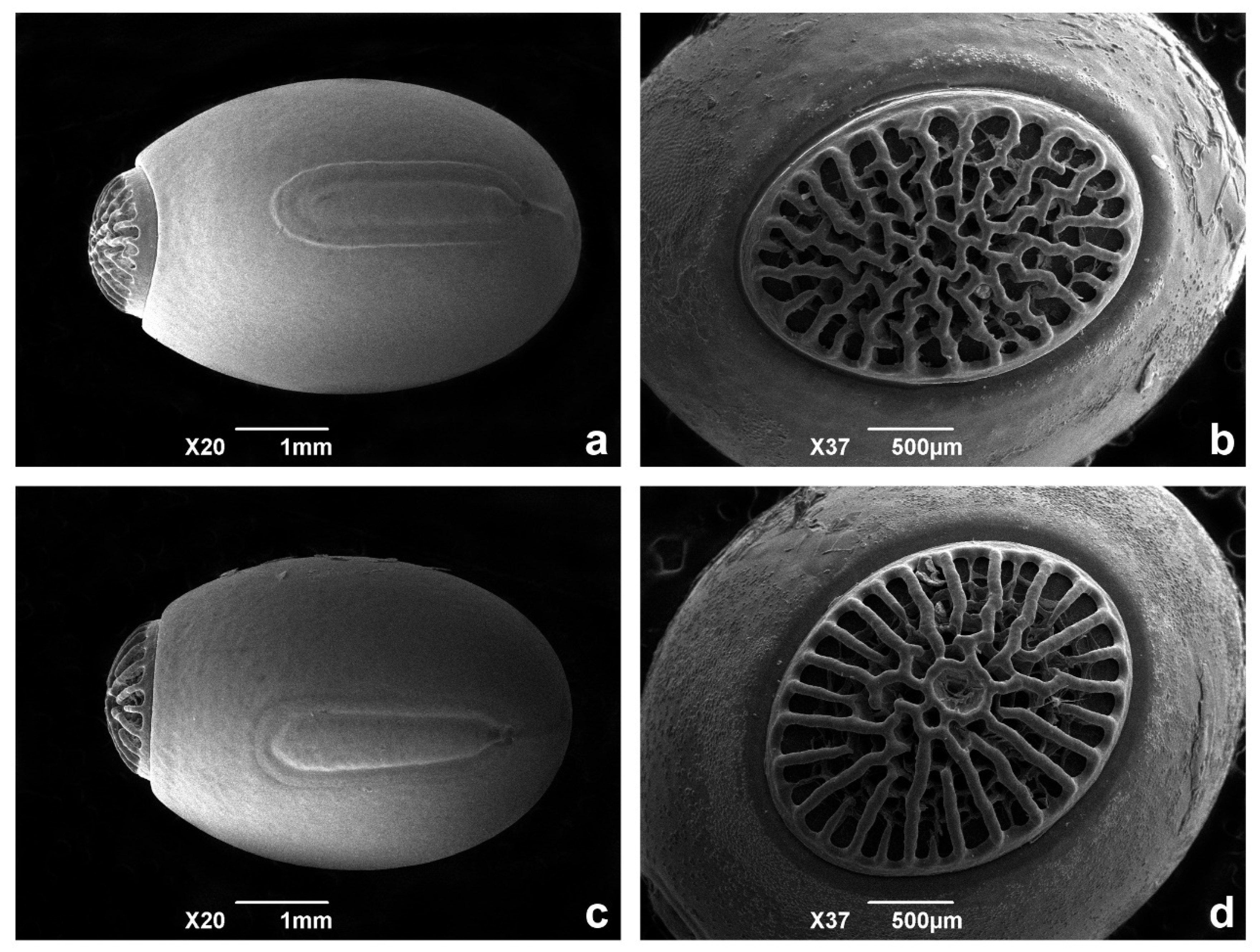 Animals 12 02871 g006 Animals 12 02871 g006