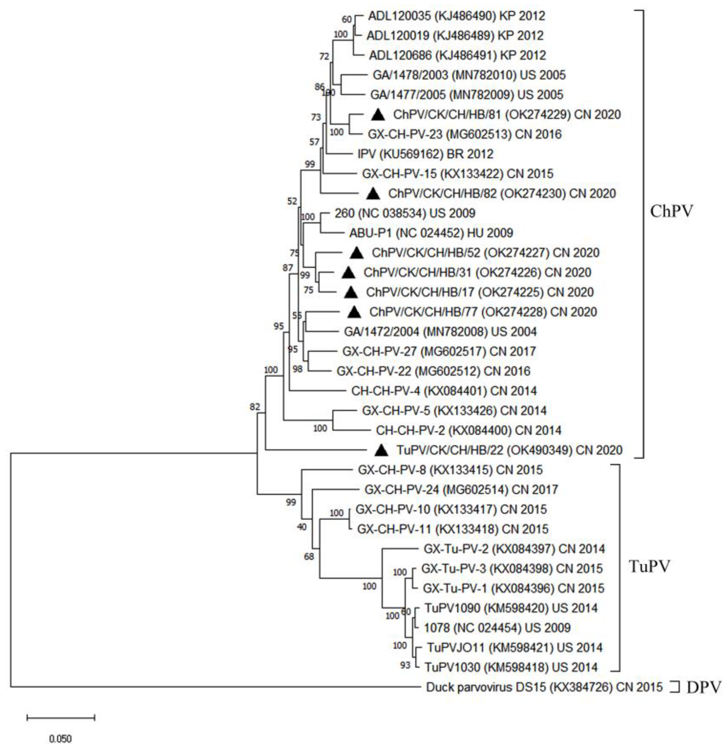 Animals 12 02873 g001 Animals 12 02873 g001