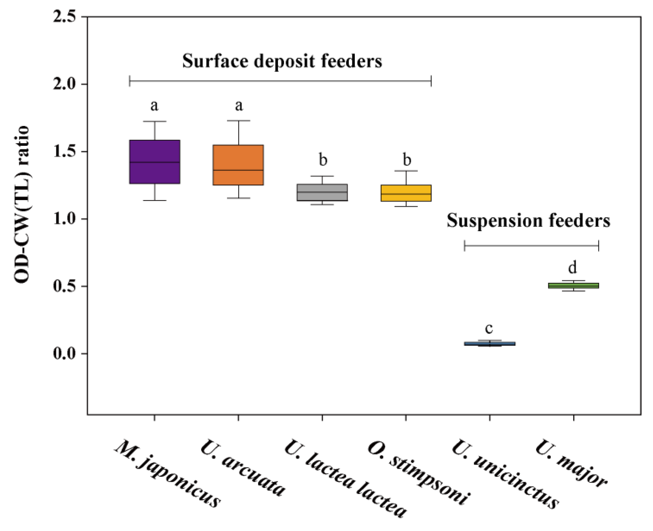 Animals | Free Full-Text | The Relationship between Burrow Opening Dimensions and Biomass of Intertidal Macroinvertebrates by Feeding Mode (Surface Deposit Feeders vs. Suspension Feeders) Animals | Free Full-Text | The Relationship between Burrow Opening Dimensions and Biomass of Intertidal Macroinvertebrates by Feeding Mode (Surface Deposit Feeders vs. Suspension Feeders)