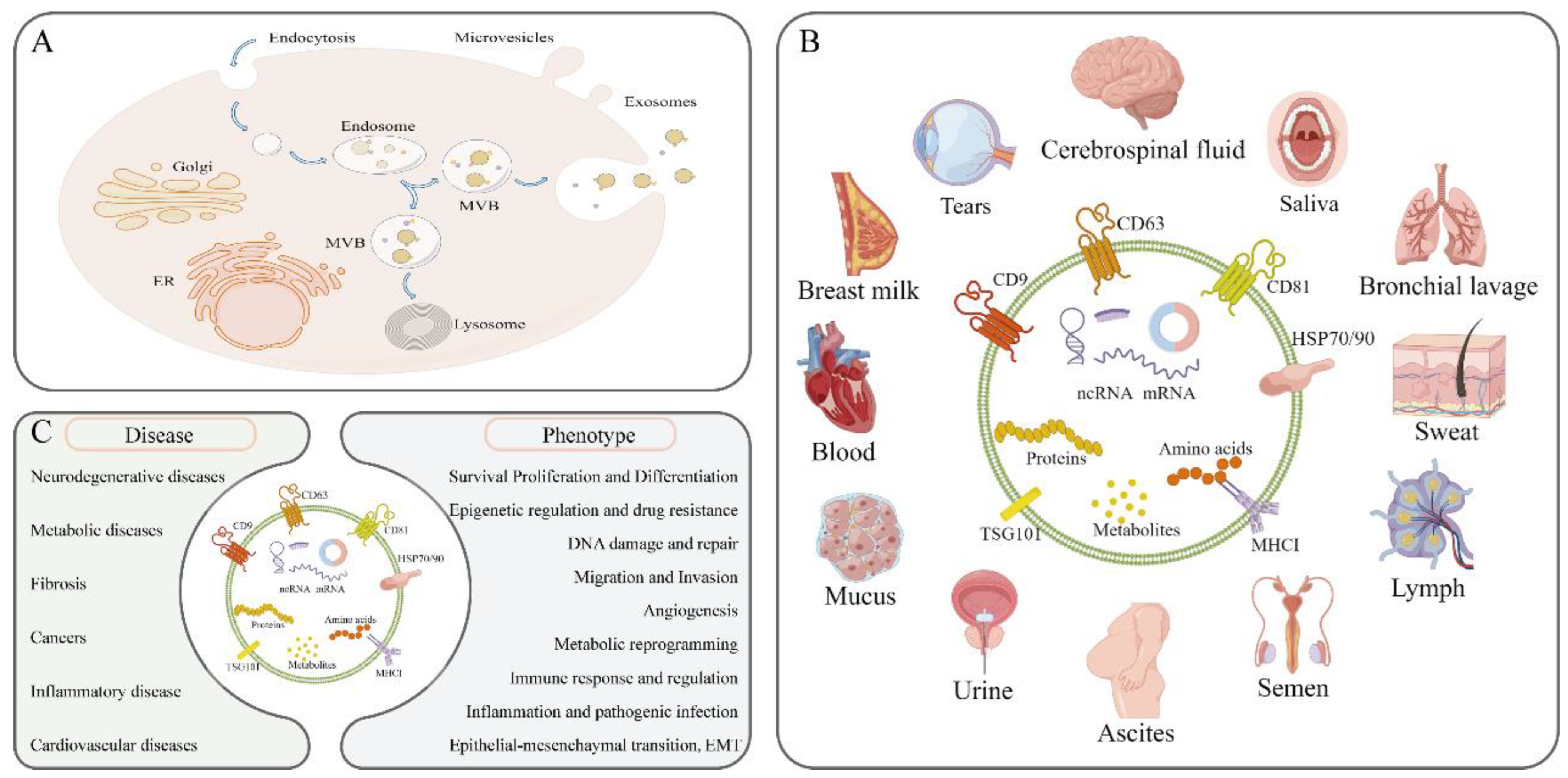 Animals 12 02881 g002 Animals 12 02881 g002