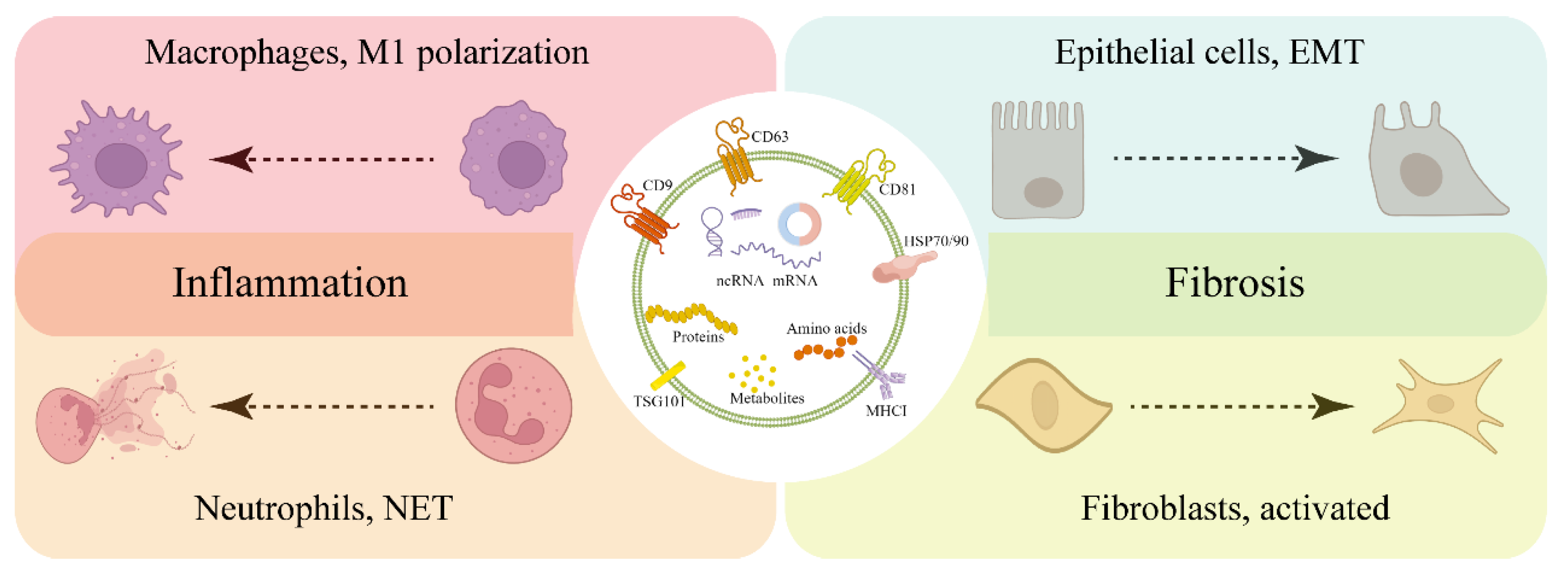 Animals 12 02881 g003 Animals 12 02881 g003