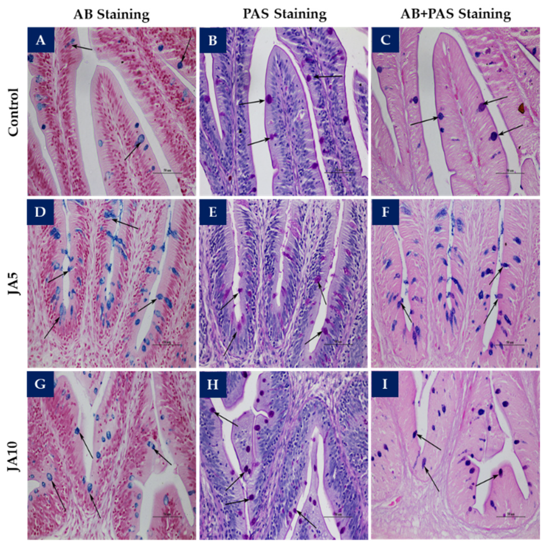 Animals 12 02882 g001