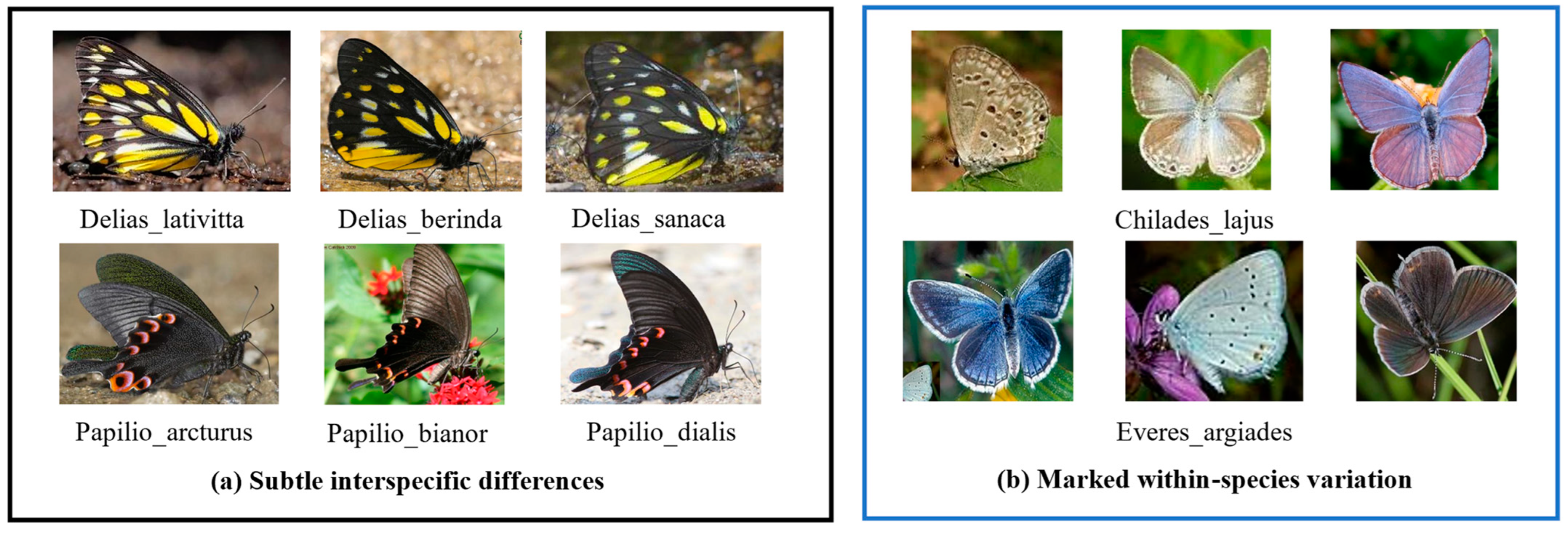 Animals 12 02884 g003