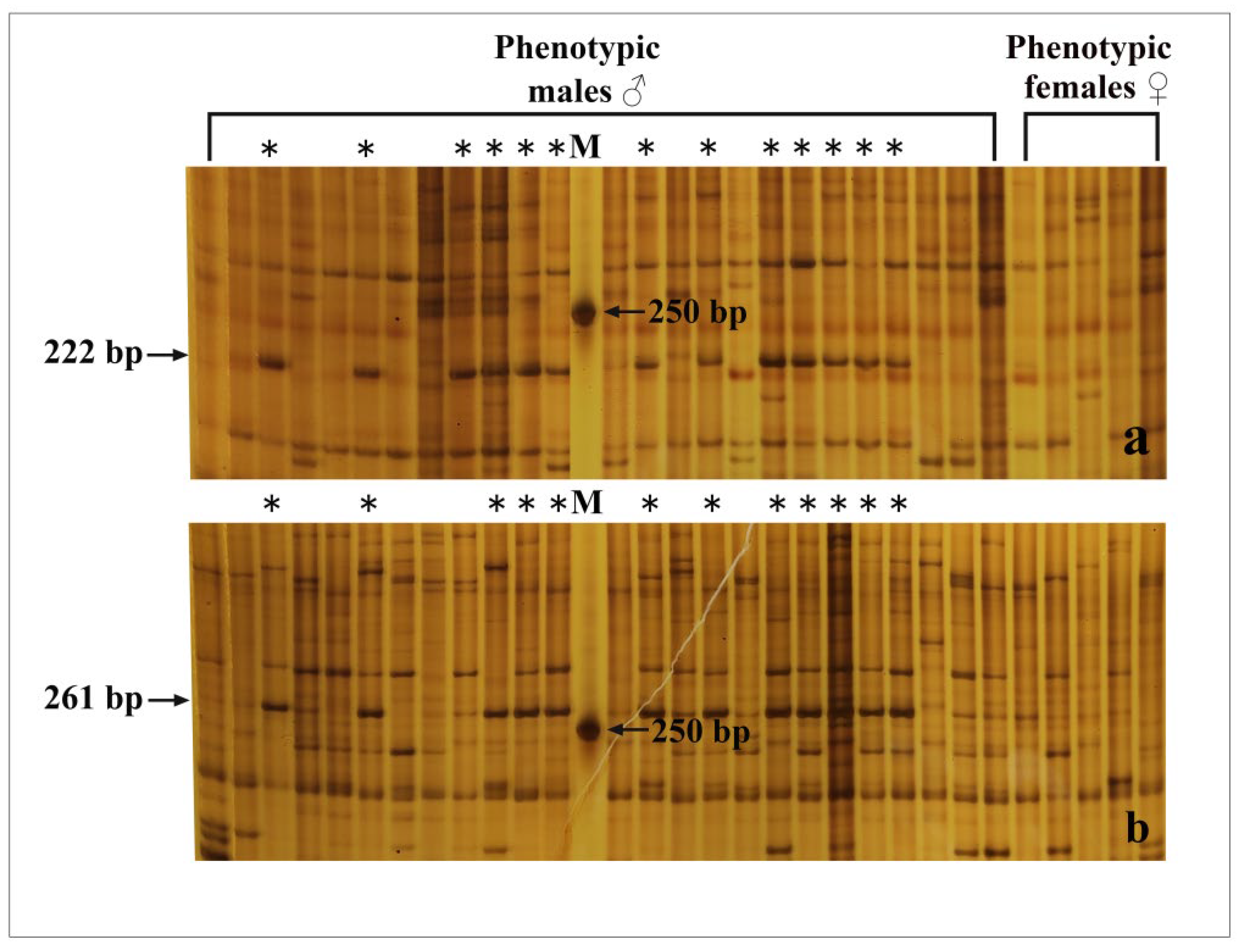 Animals 12 02887 g002