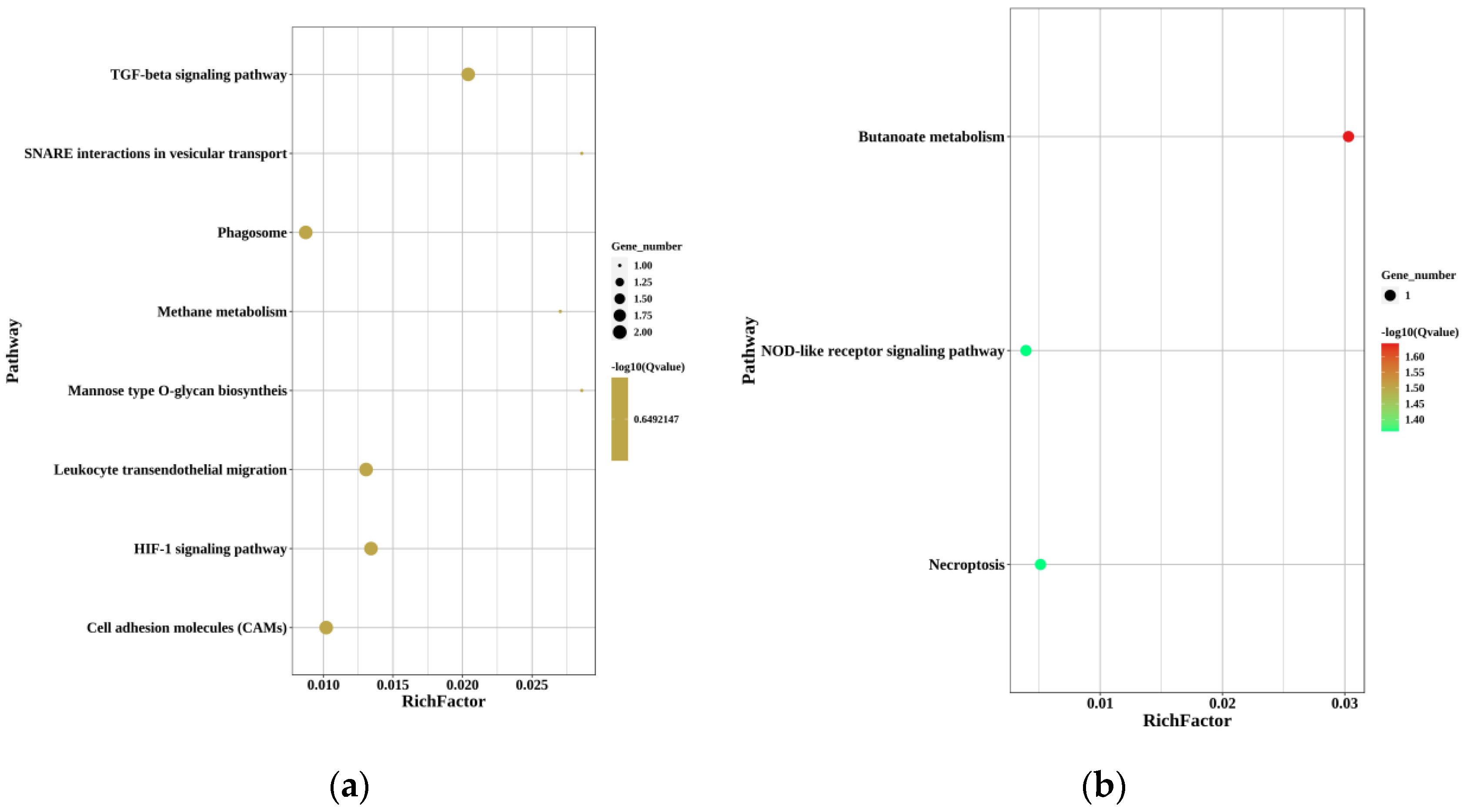 Animals 12 02887 g004a