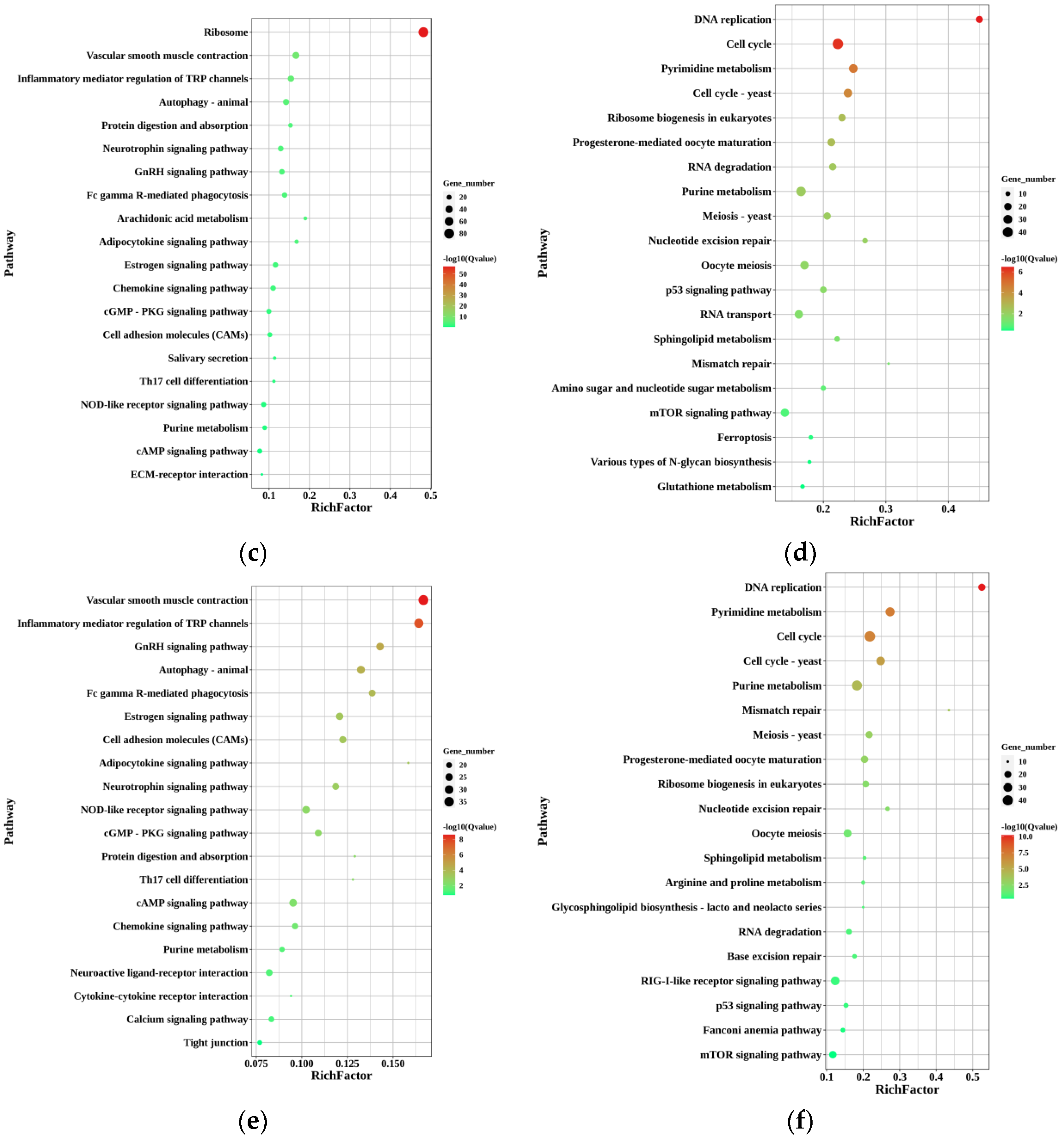 Animals 12 02887 g004b